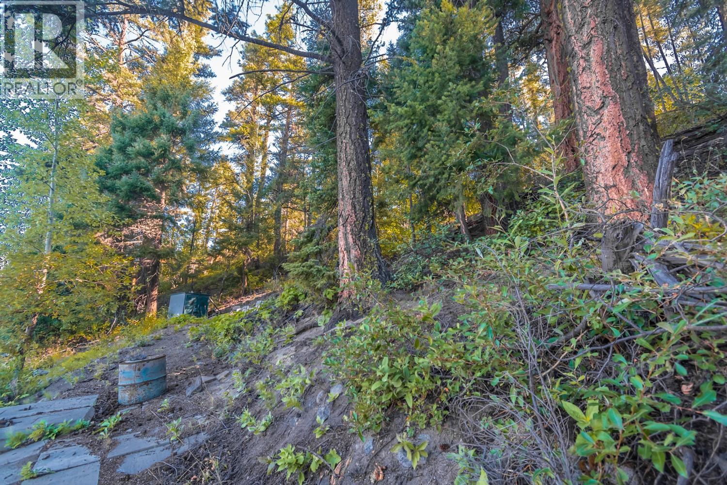 4431 Lakeview Road, Lillooet, British Columbia  V0K 1P0 - Photo 9 - 10359133