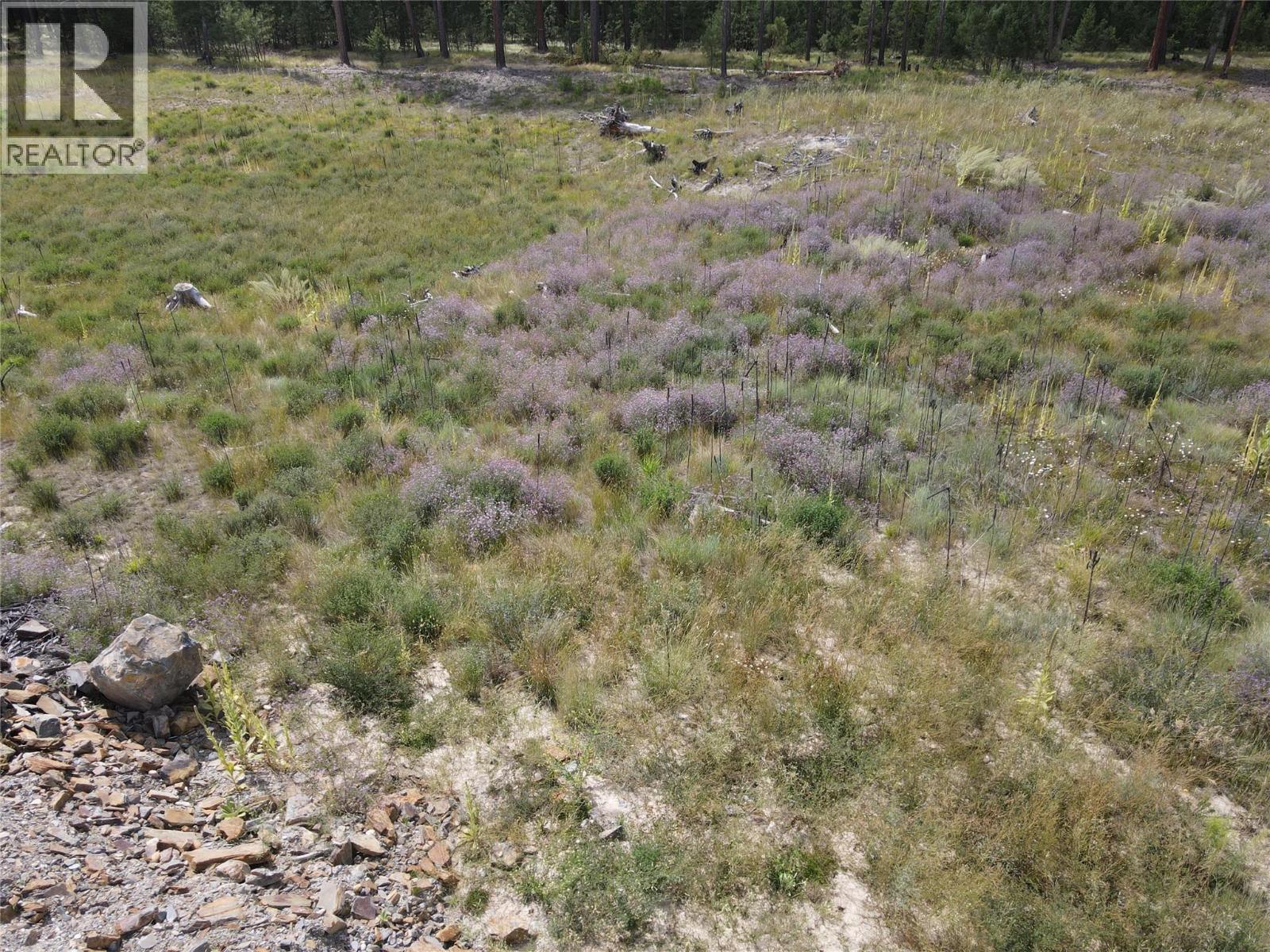 Ml 1036752 8086 Hwy 95 Highway, Kimberley, British Columbia  V1A 3L6 - Photo 23 - 10359466