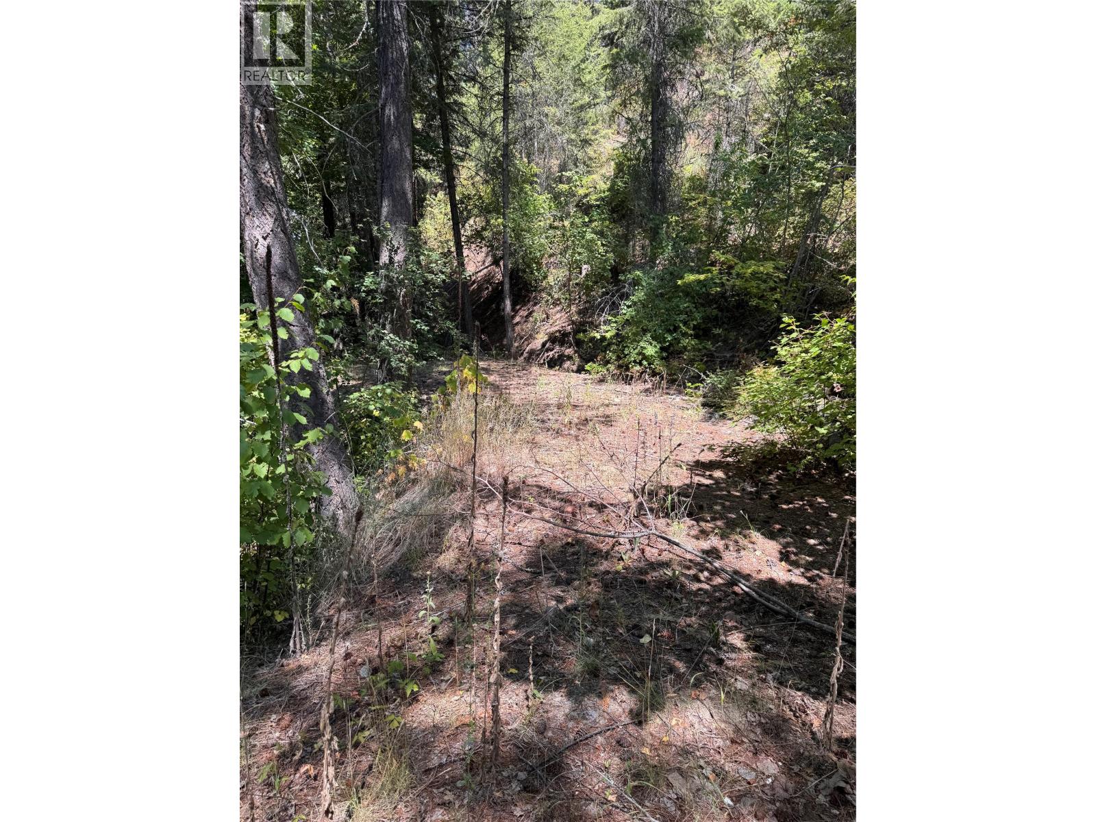 2160 3 Highway, Christina Lake, British Columbia  V0H 1E3 - Photo 38 - 10357524