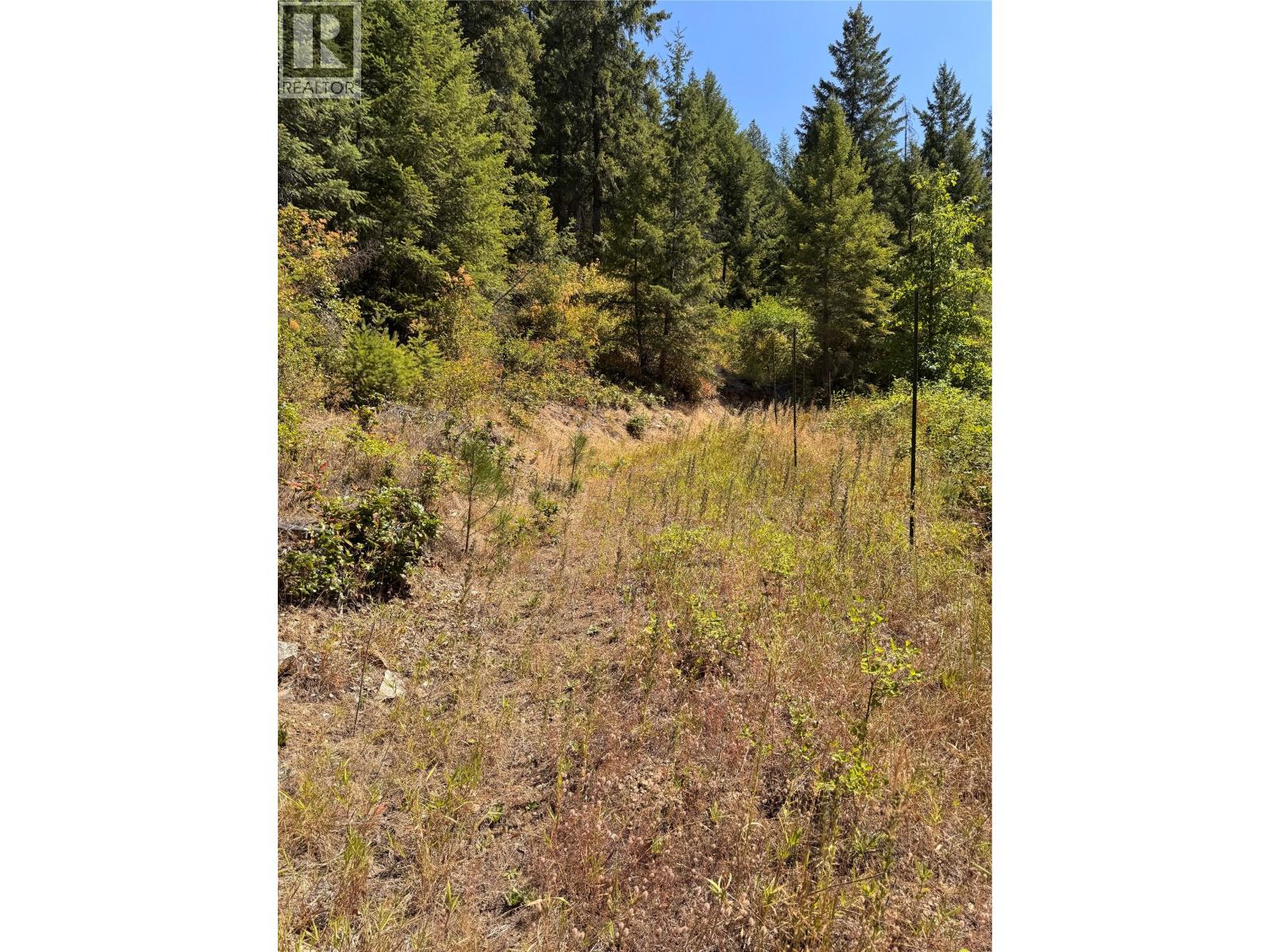 2160 3 Highway, Christina Lake, British Columbia  V0H 1E3 - Photo 39 - 10357524