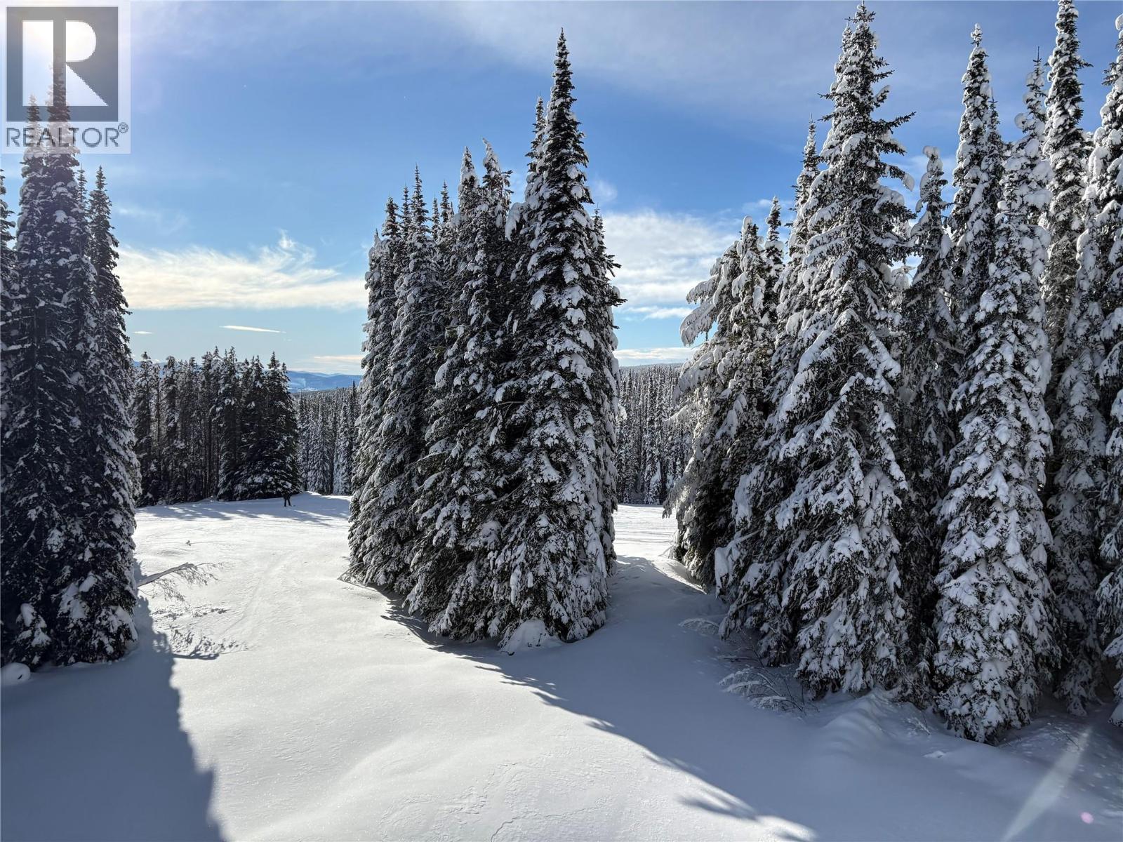 140 Whiskey Jack Road, Oliver, British Columbia  V0H 1T0 - Photo 6 - 10359129