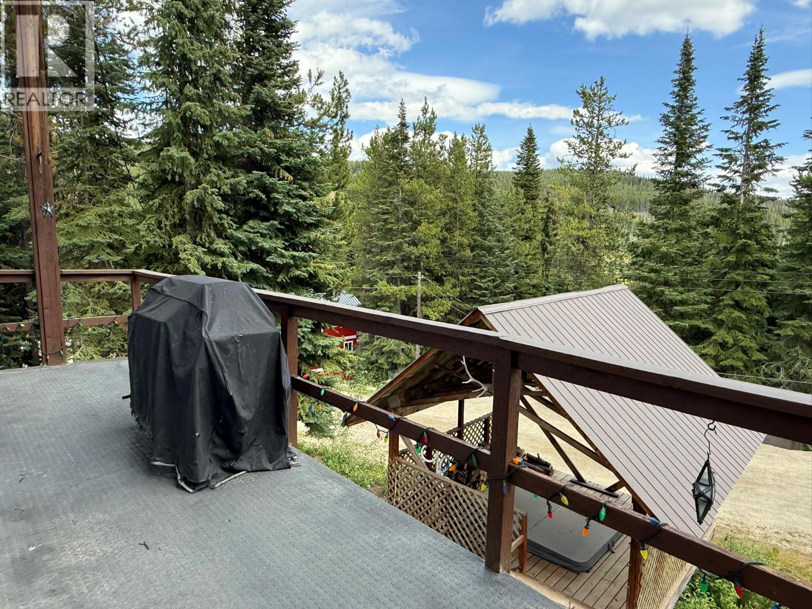 150 Porcupine Road, Oliver, British Columbia  V0H 1T8 - Photo 10 - 10359641