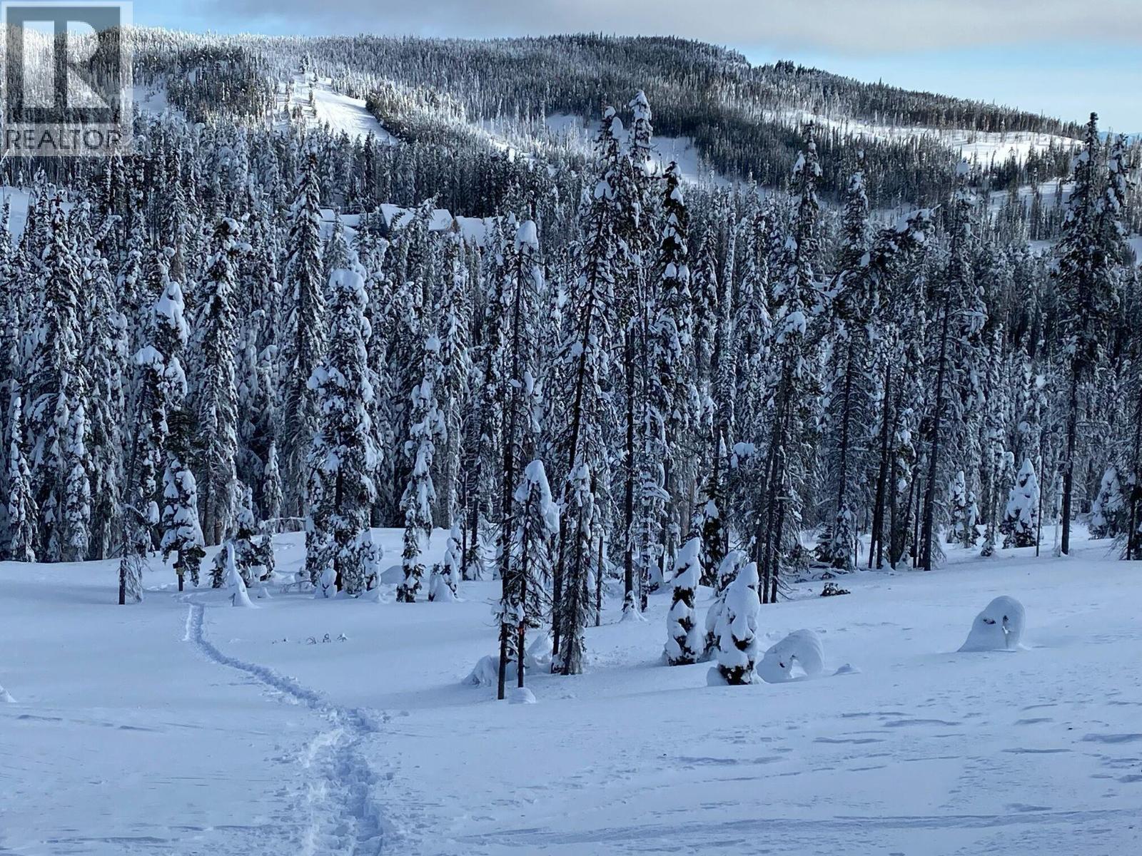 150 Porcupine Road, Oliver, British Columbia  V0H 1T8 - Photo 43 - 10359641