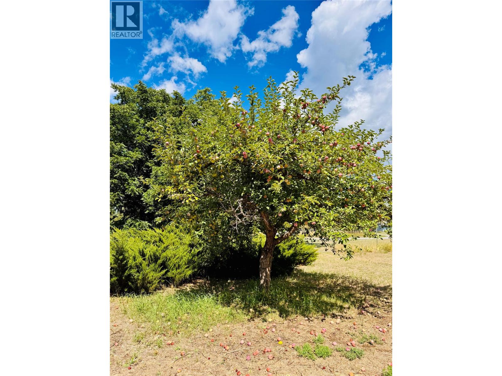 1270 59 Avenue, Grand Forks, British Columbia  V0H 1H0 - Photo 40 - 10359653