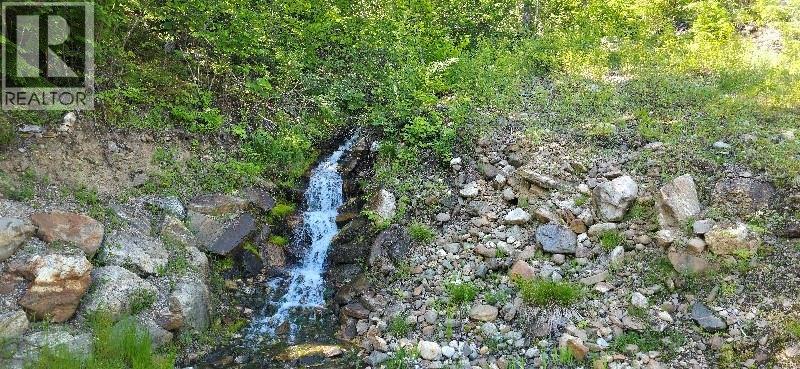 4955 Camp Creek Road Unit# Lot 27, Revelstoke, British Columbia  V0E 2S0 - Photo 4 - 10359784
