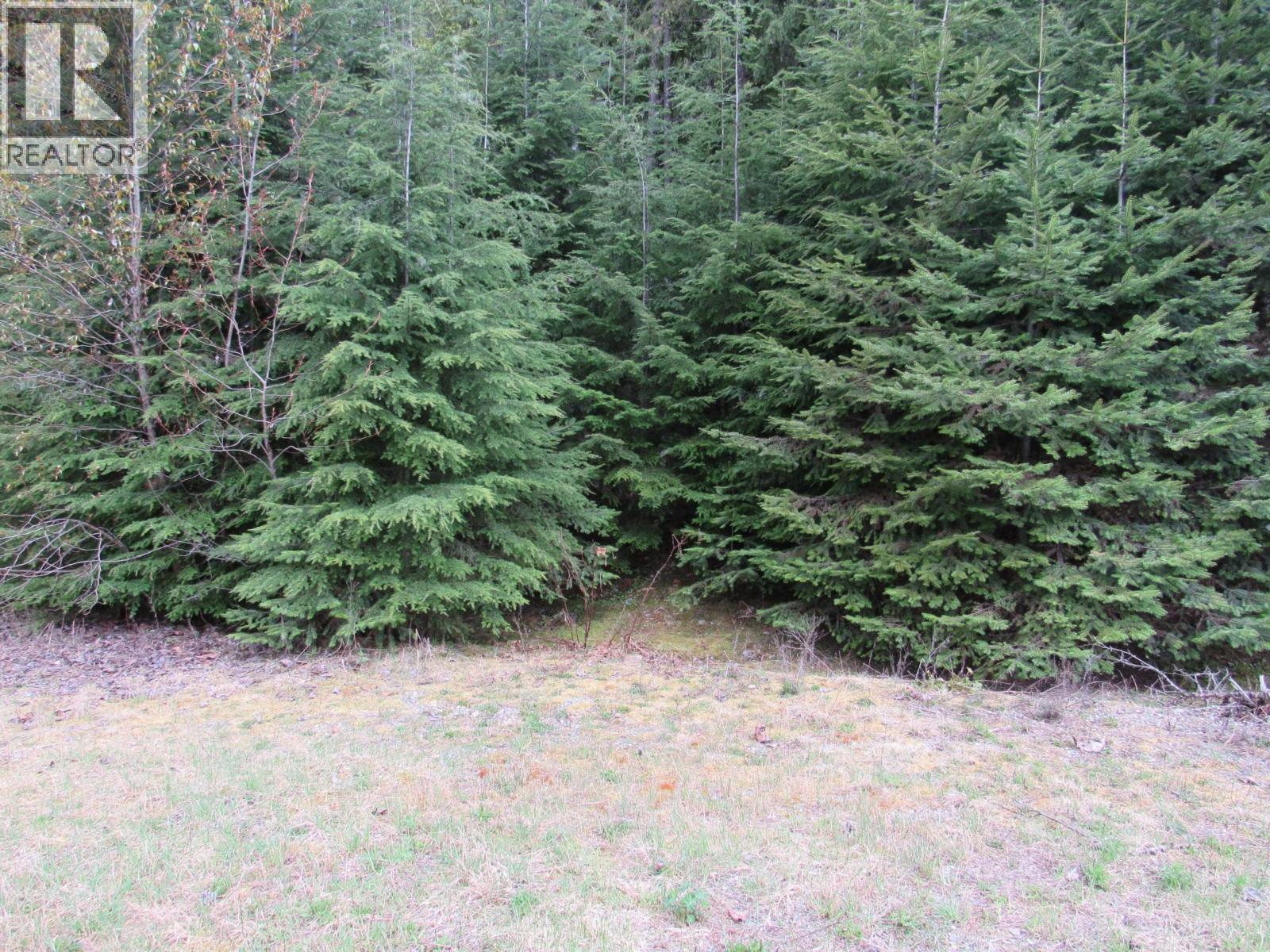 Lot B 3 Highway, Salmo, British Columbia  V0G 1Z0 - Photo 1 - 10359742