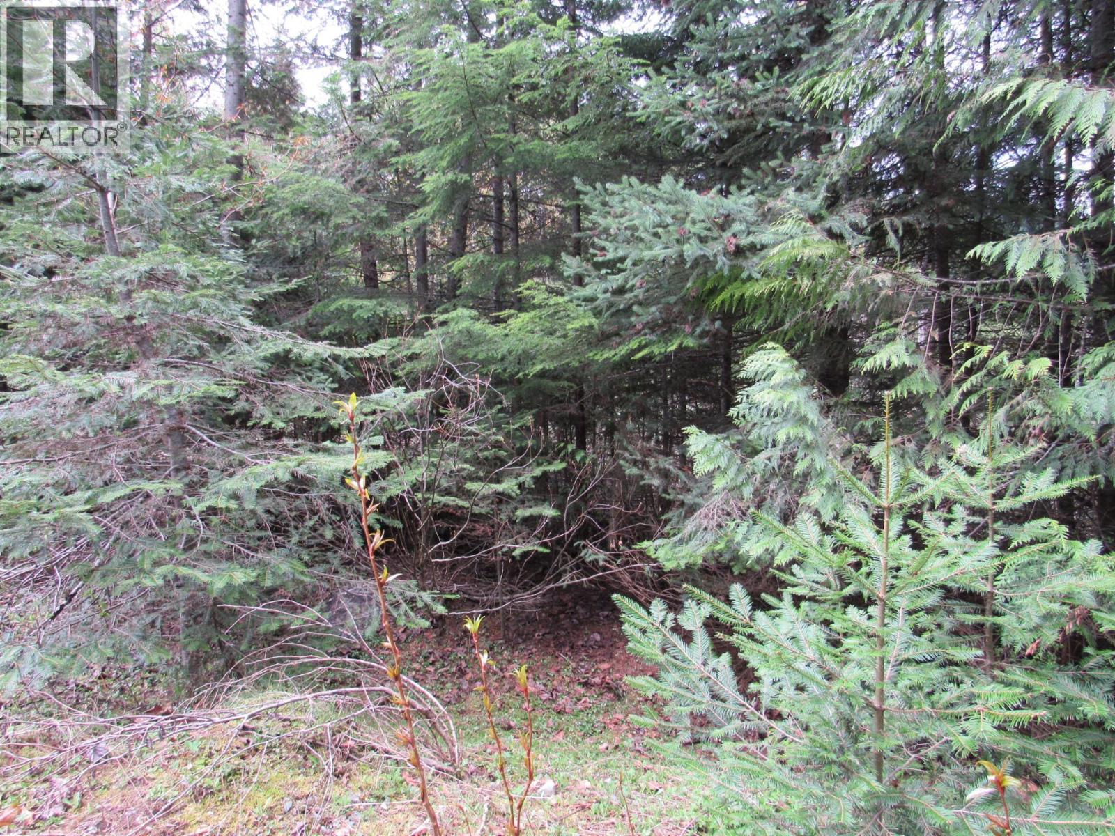 Lot B 3 Highway, Salmo, British Columbia  V0G 1Z0 - Photo 10 - 10359742