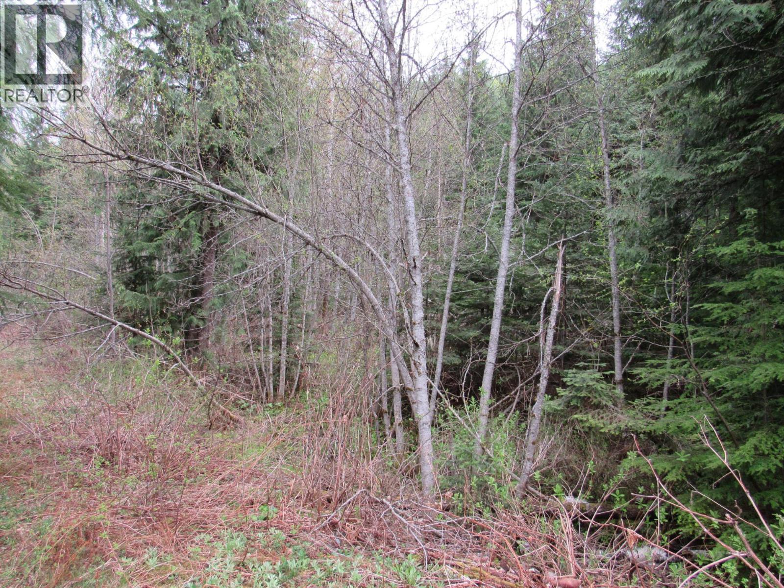 Lot B 3 Highway, Salmo, British Columbia  V0G 1Z0 - Photo 11 - 10359742