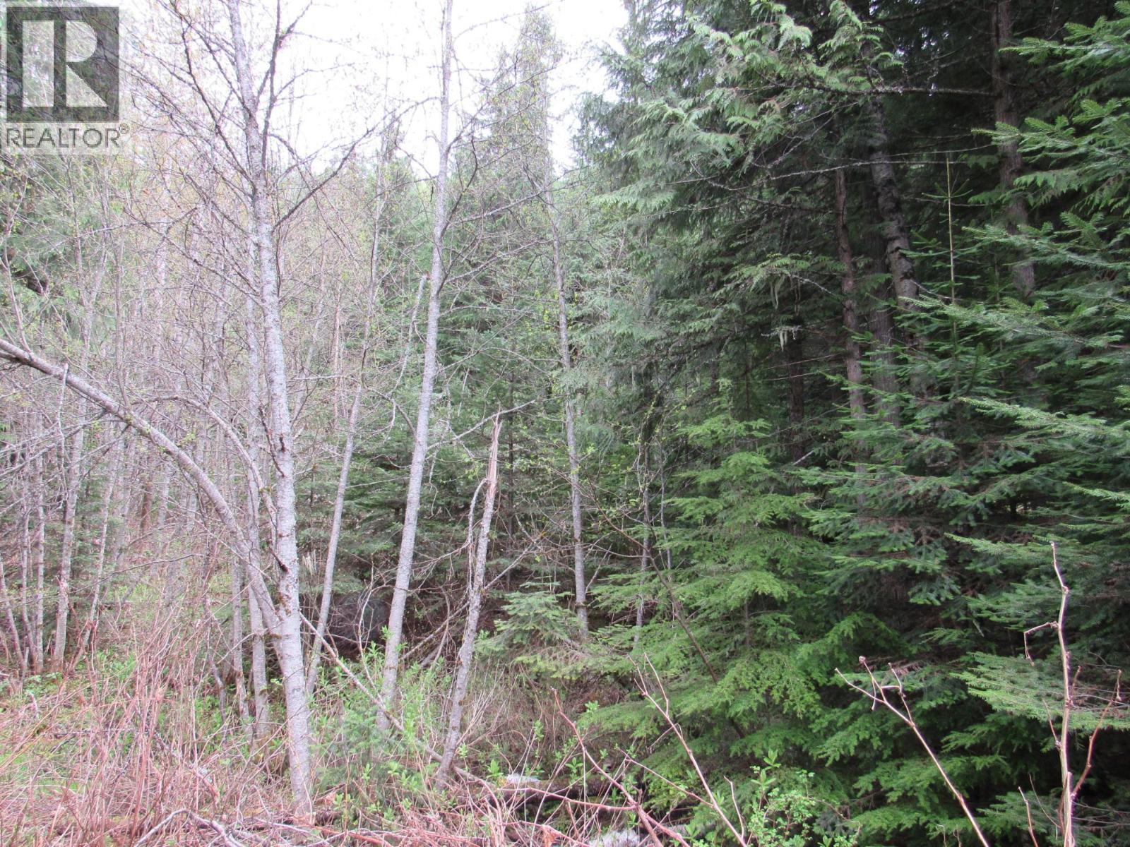Lot B 3 Highway, Salmo, British Columbia  V0G 1Z0 - Photo 12 - 10359742