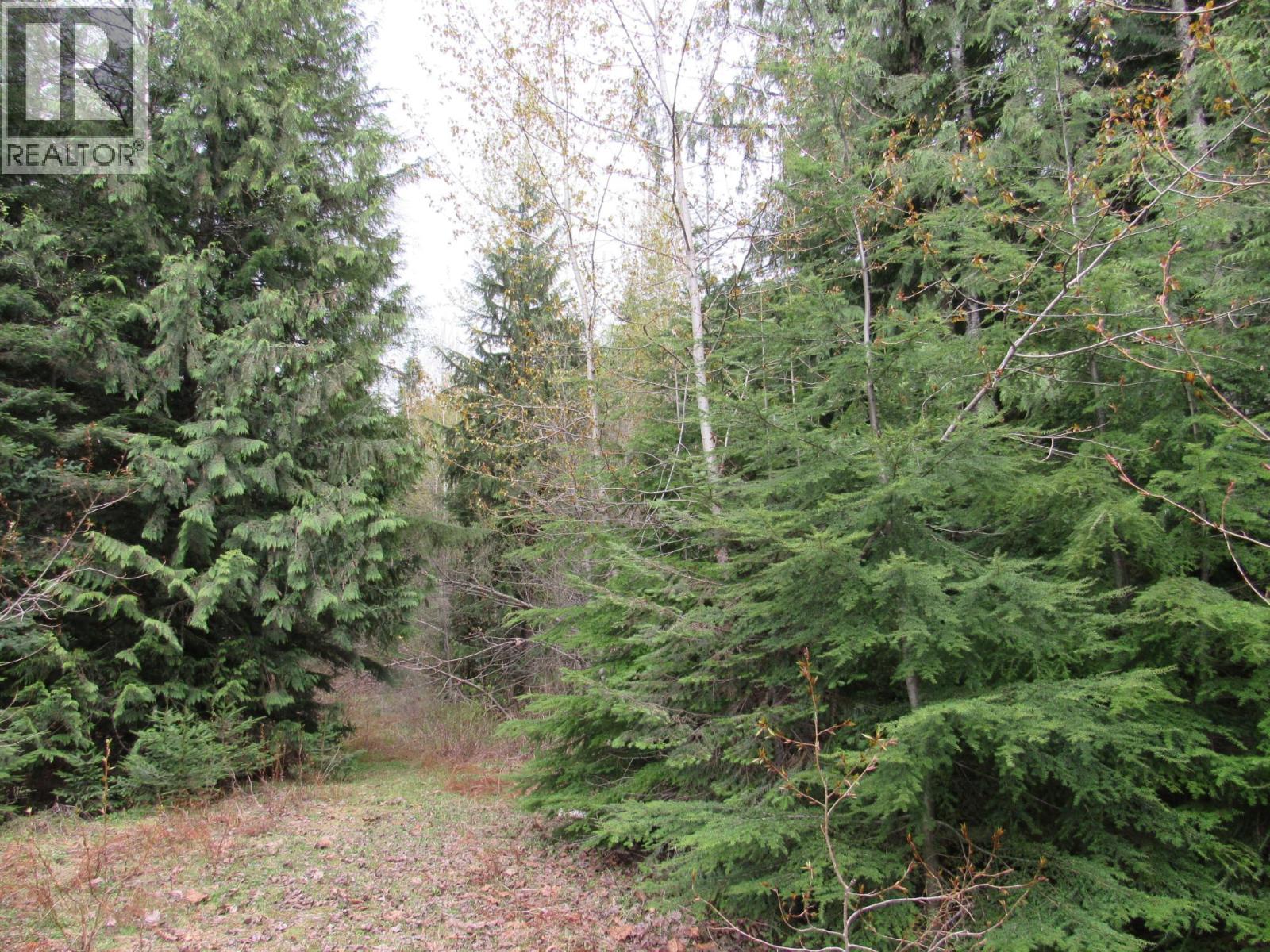 Lot B 3 Highway, Salmo, British Columbia  V0G 1Z0 - Photo 13 - 10359742