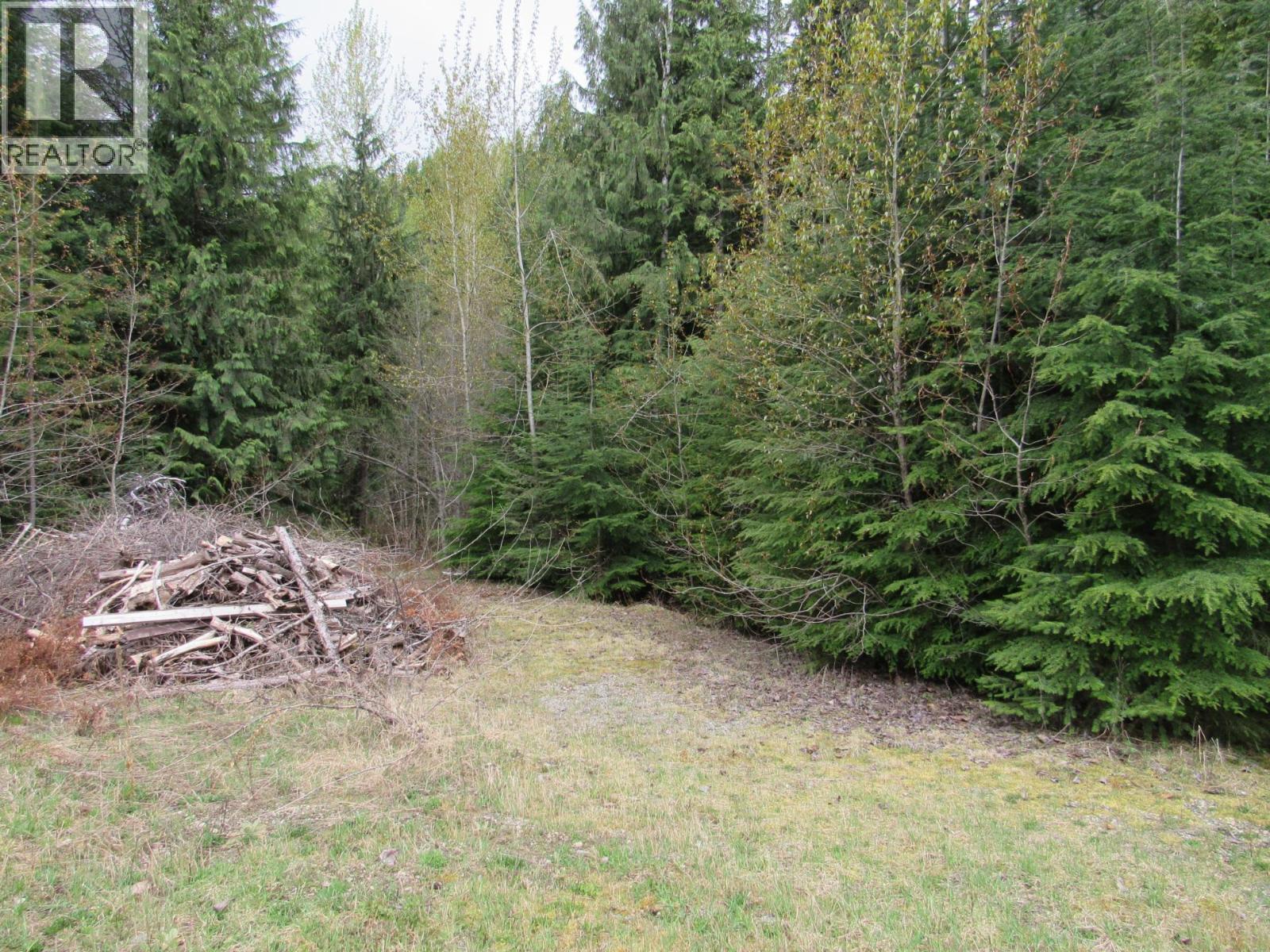 Lot B 3 Highway, Salmo, British Columbia  V0G 1Z0 - Photo 3 - 10359742