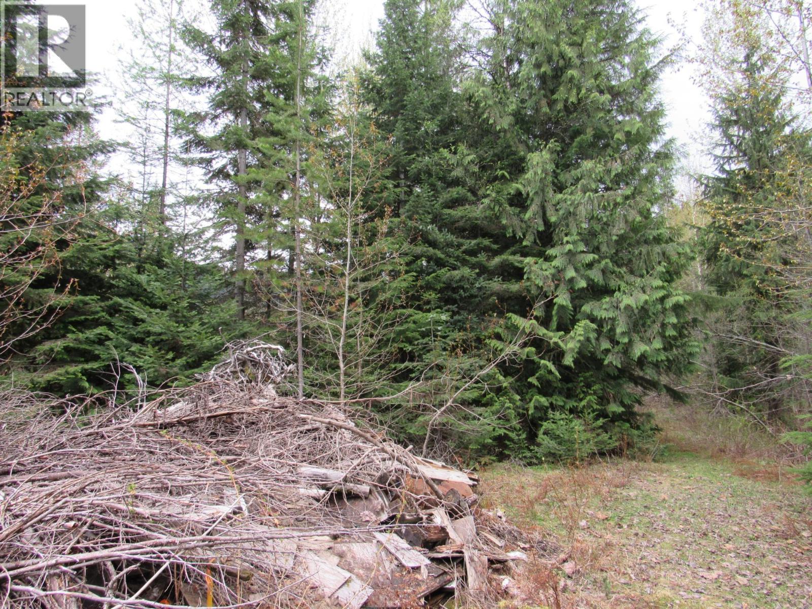 Lot B 3 Highway, Salmo, British Columbia  V0G 1Z0 - Photo 4 - 10359742