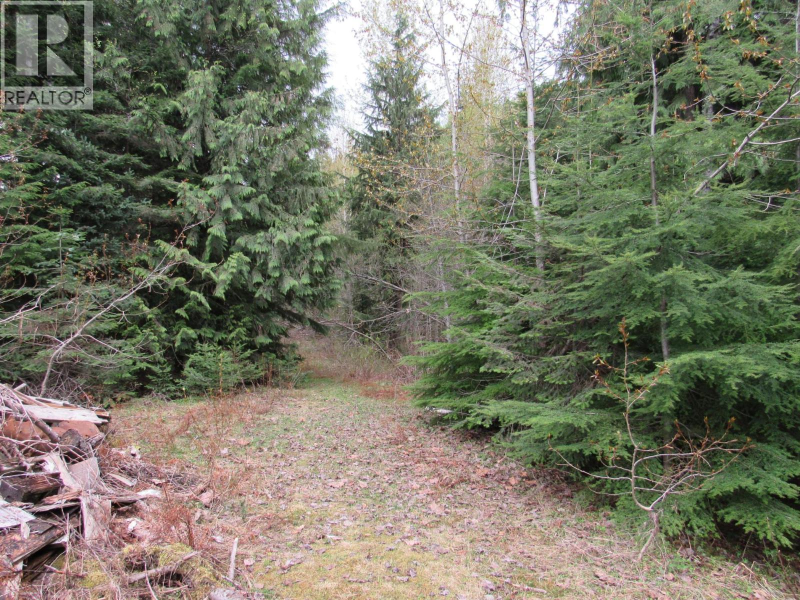 Lot B 3 Highway, Salmo, British Columbia  V0G 1Z0 - Photo 5 - 10359742