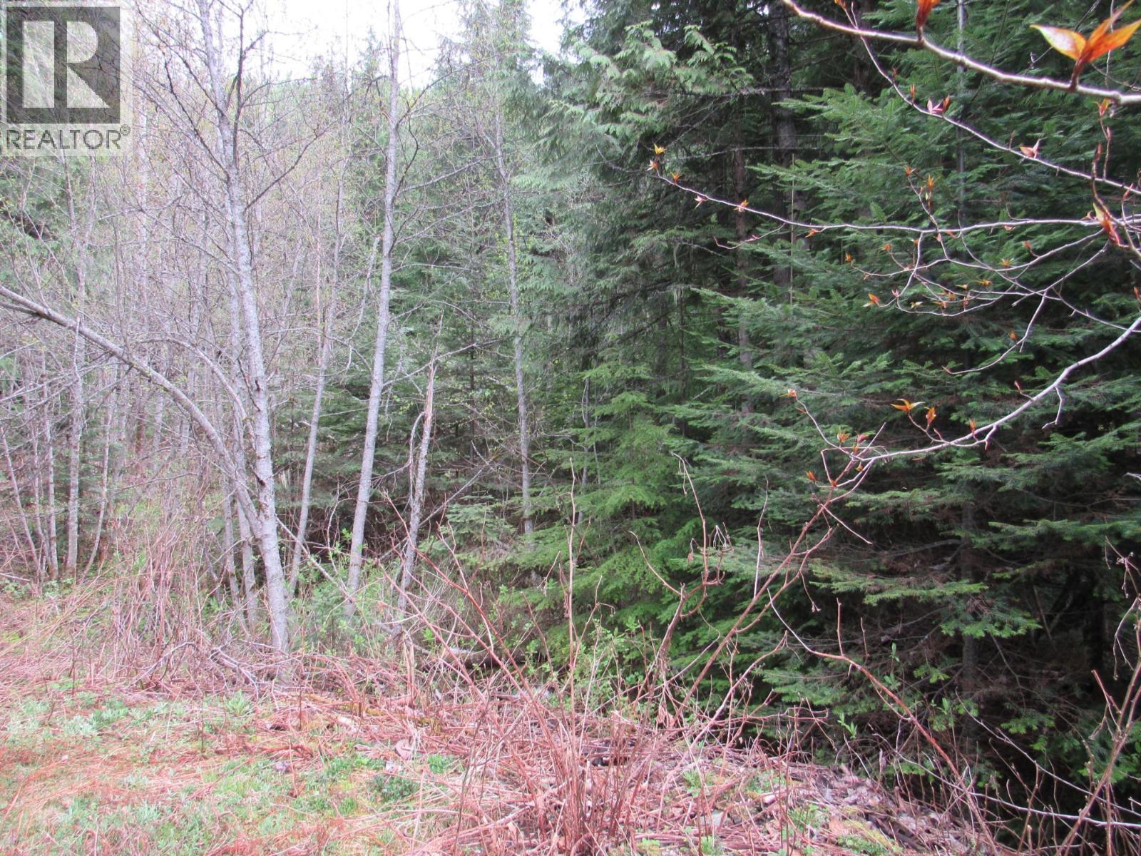 Lot B 3 Highway, Salmo, British Columbia  V0G 1Z0 - Photo 7 - 10359742