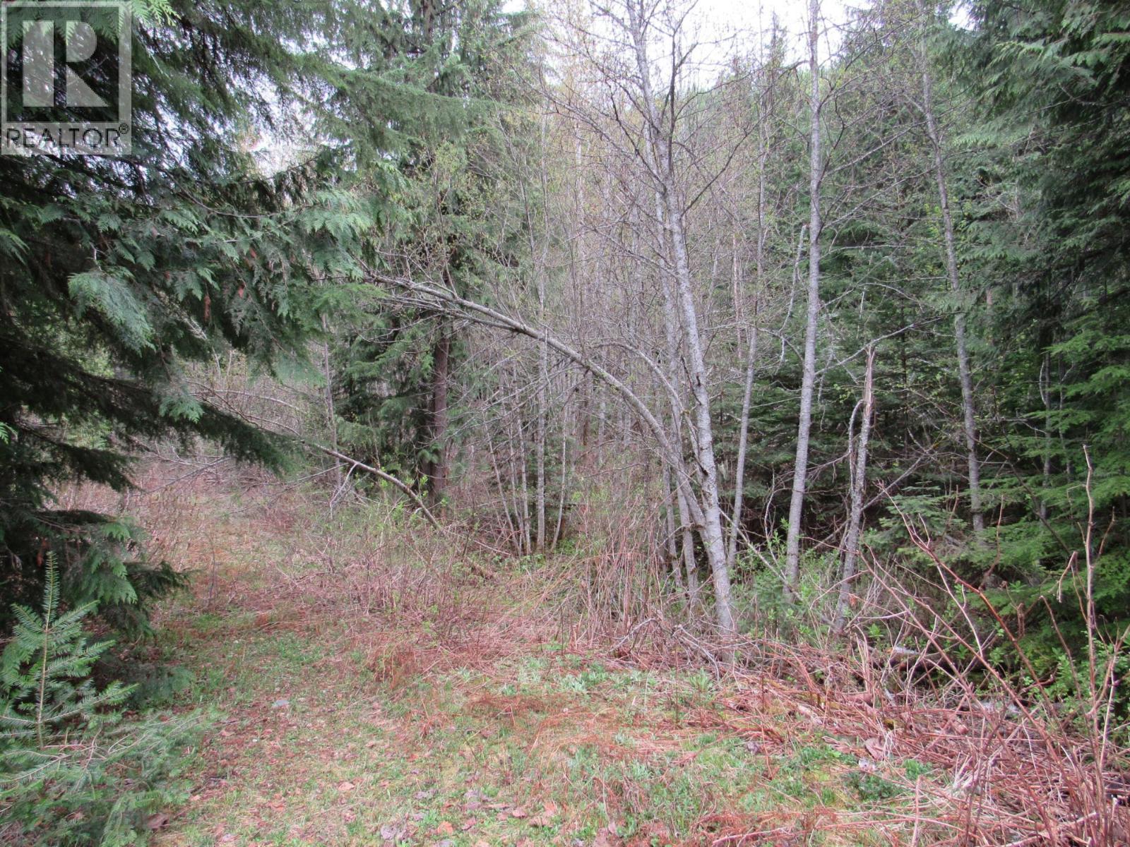 Lot B 3 Highway, Salmo, British Columbia  V0G 1Z0 - Photo 8 - 10359742
