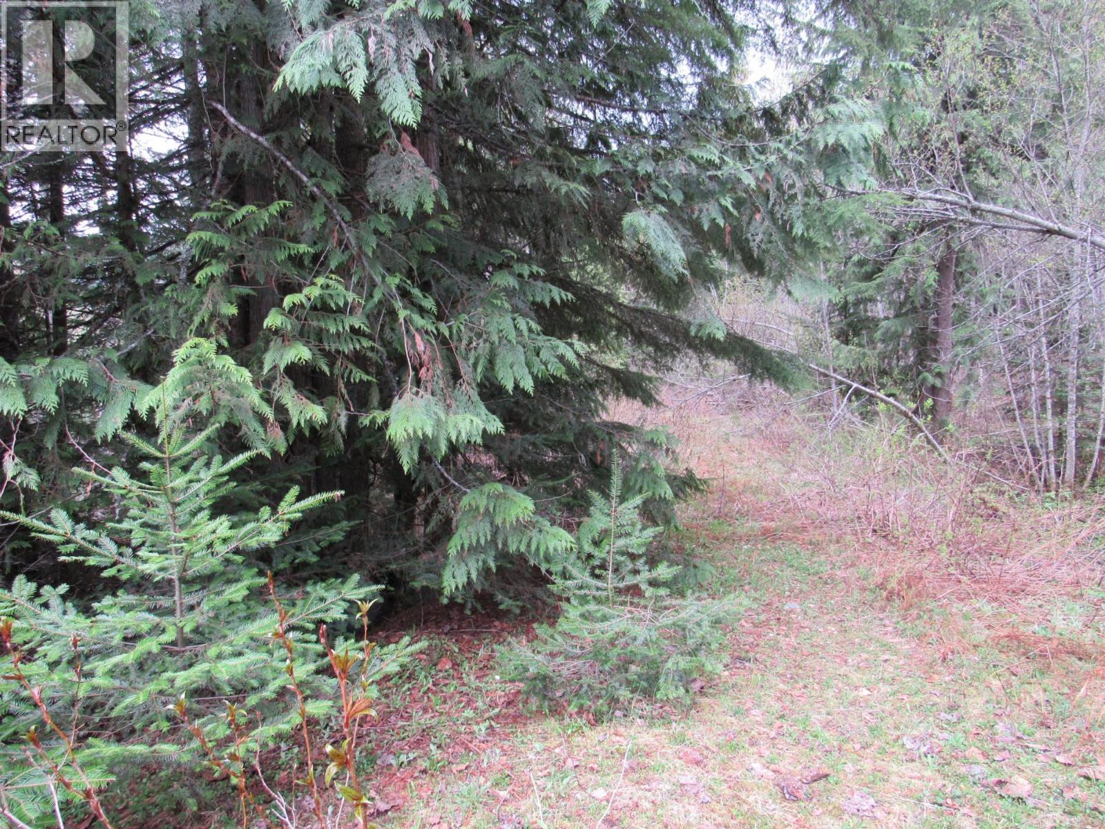 Lot B 3 Highway, Salmo, British Columbia  V0G 1Z0 - Photo 9 - 10359742