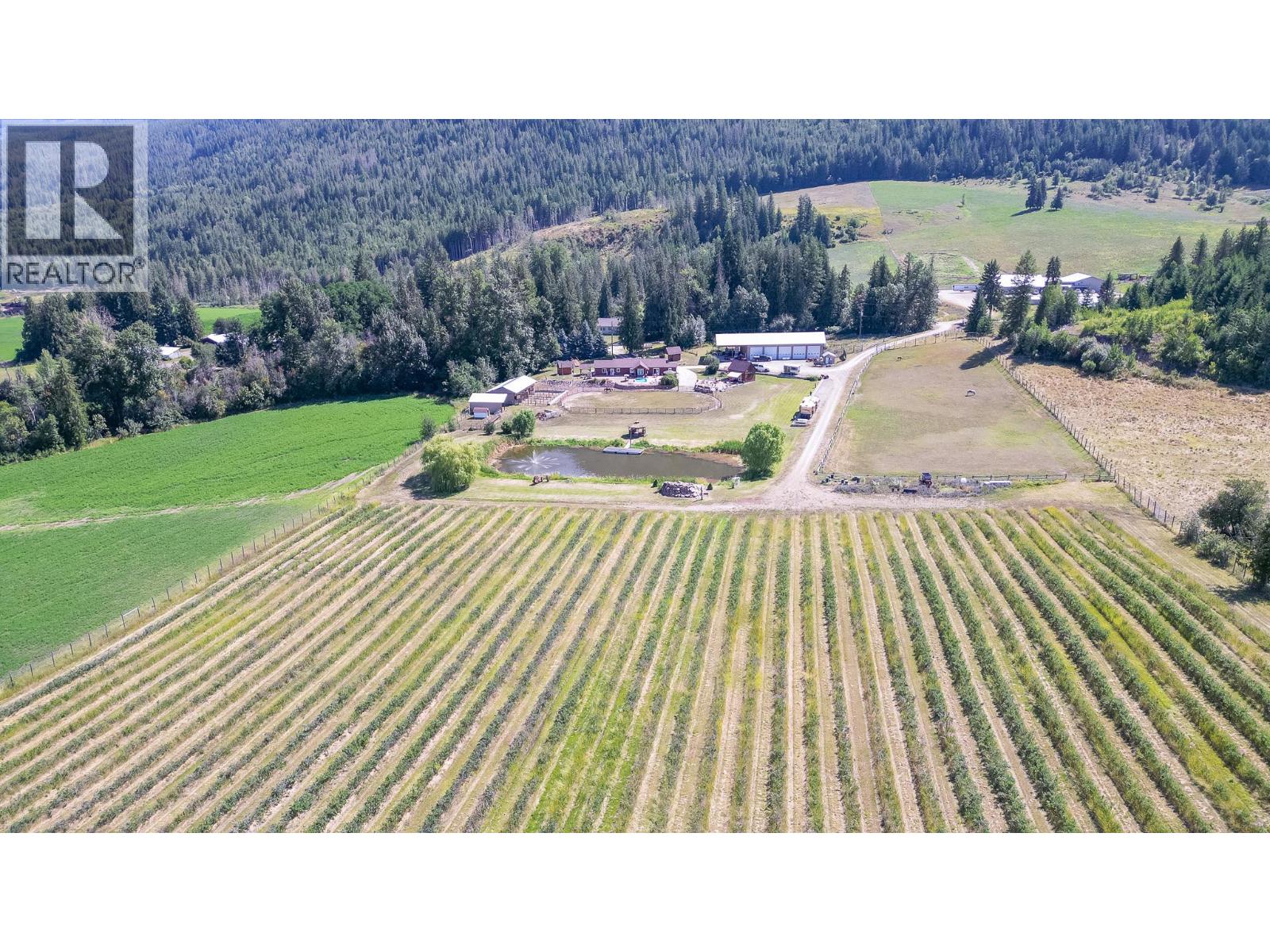 184 Monks Road, Grindrod, British Columbia  V0E 1Y0 - Photo 4 - 10359146
