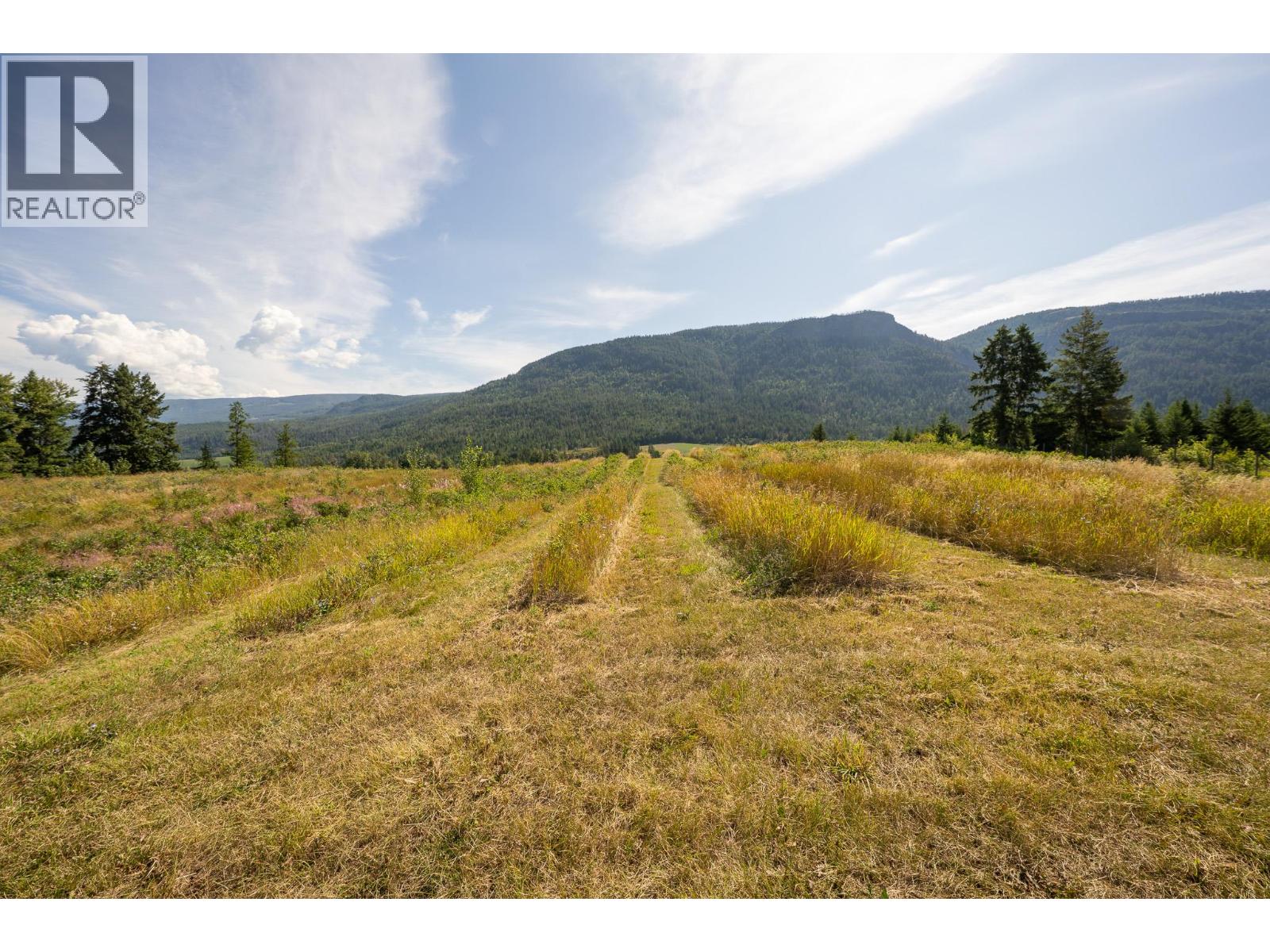 184 Monks Road, Grindrod, British Columbia  V0E 1Y0 - Photo 8 - 10359146