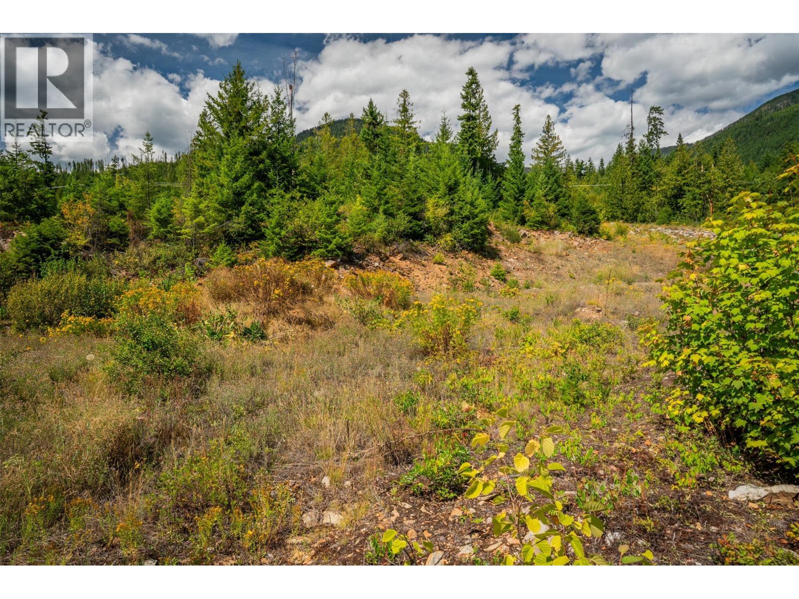 431 Buriview Drive, Nelson, British Columbia  V1L 6W6 - Photo 29 - 10359818