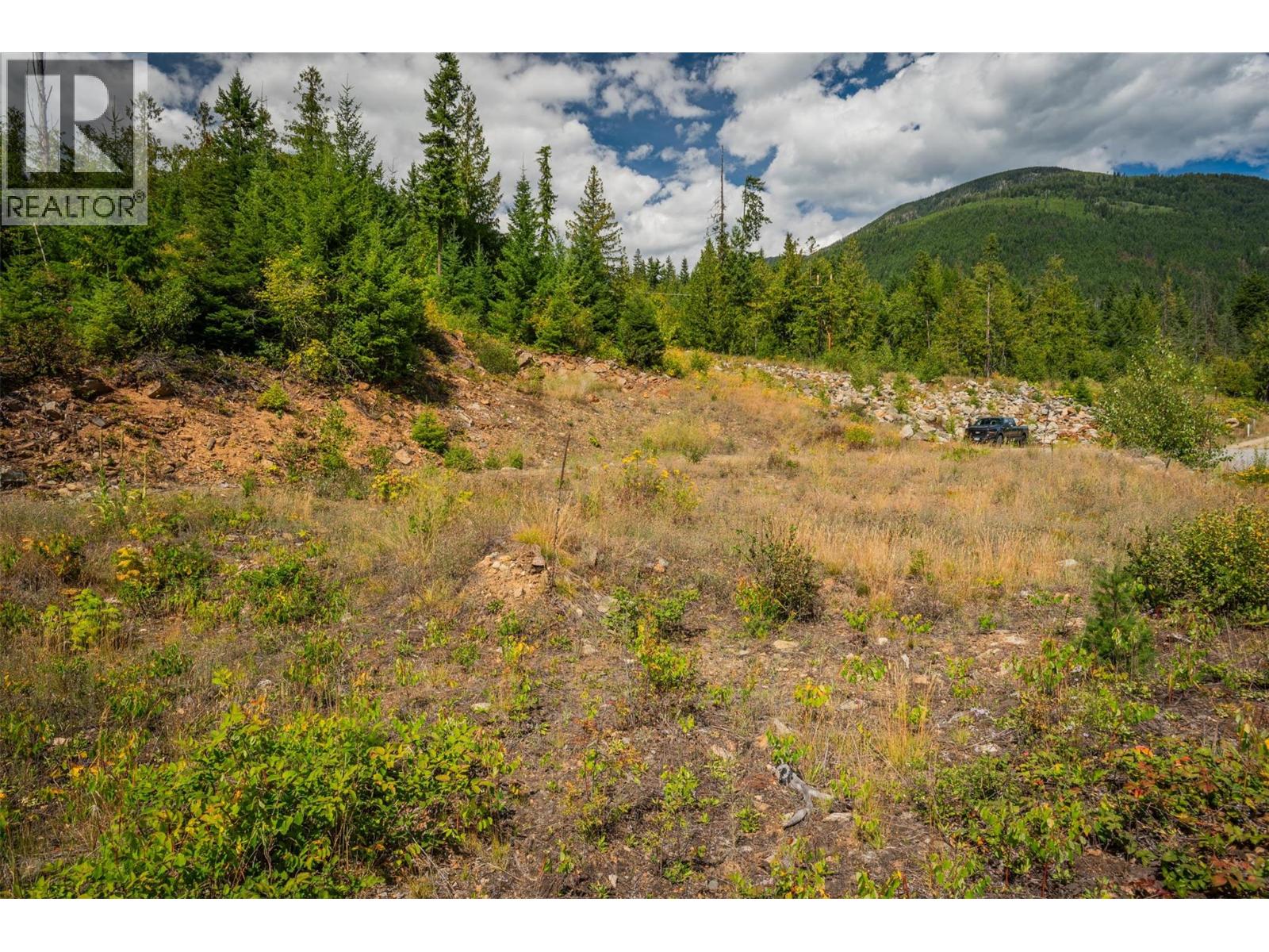 431 Buriview Drive, Nelson, British Columbia  V1L 6W6 - Photo 30 - 10359818