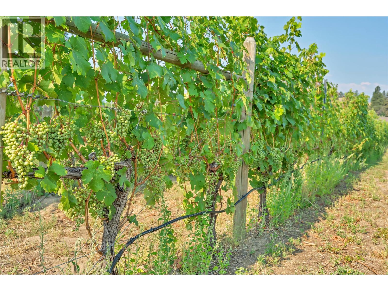 1275 Munson Avenue, Penticton, British Columbia  V2A 8T1 - Photo 31 - 10359947