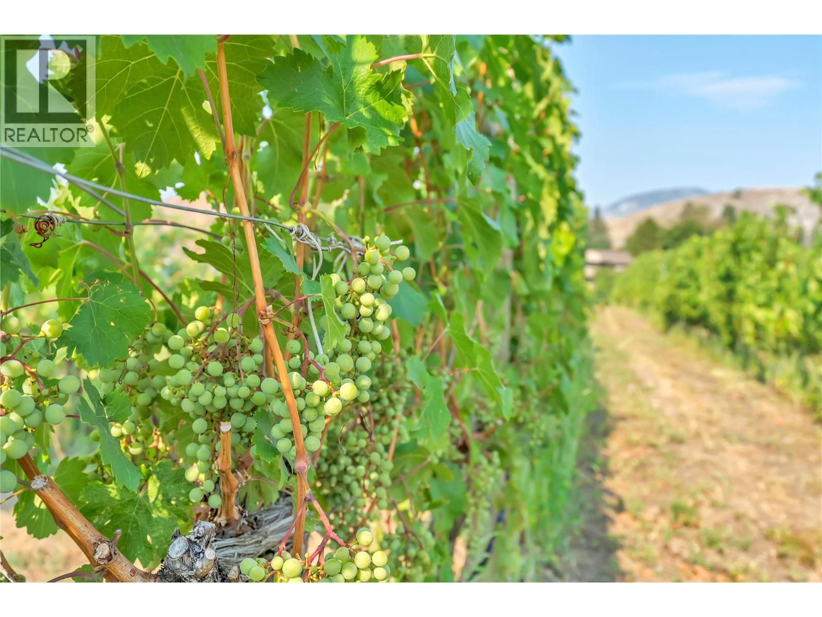 1275 Munson Avenue, Penticton, British Columbia  V2A 8T1 - Photo 32 - 10359947