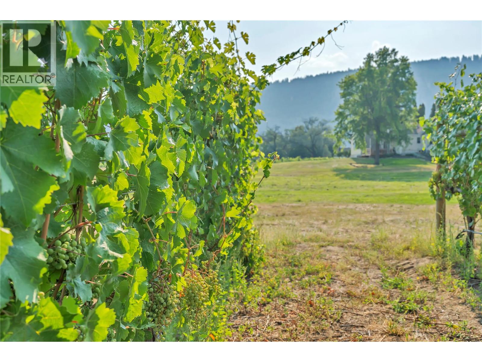 1275 Munson Avenue, Penticton, British Columbia  V2A 8T1 - Photo 33 - 10359947