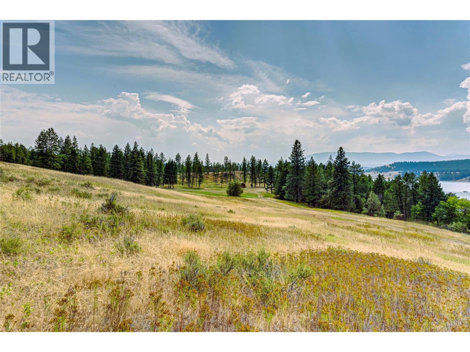 1347 Waldo Road, Baynes Lake, British Columbia  V0B 1T4 - Photo 16 - 10359873