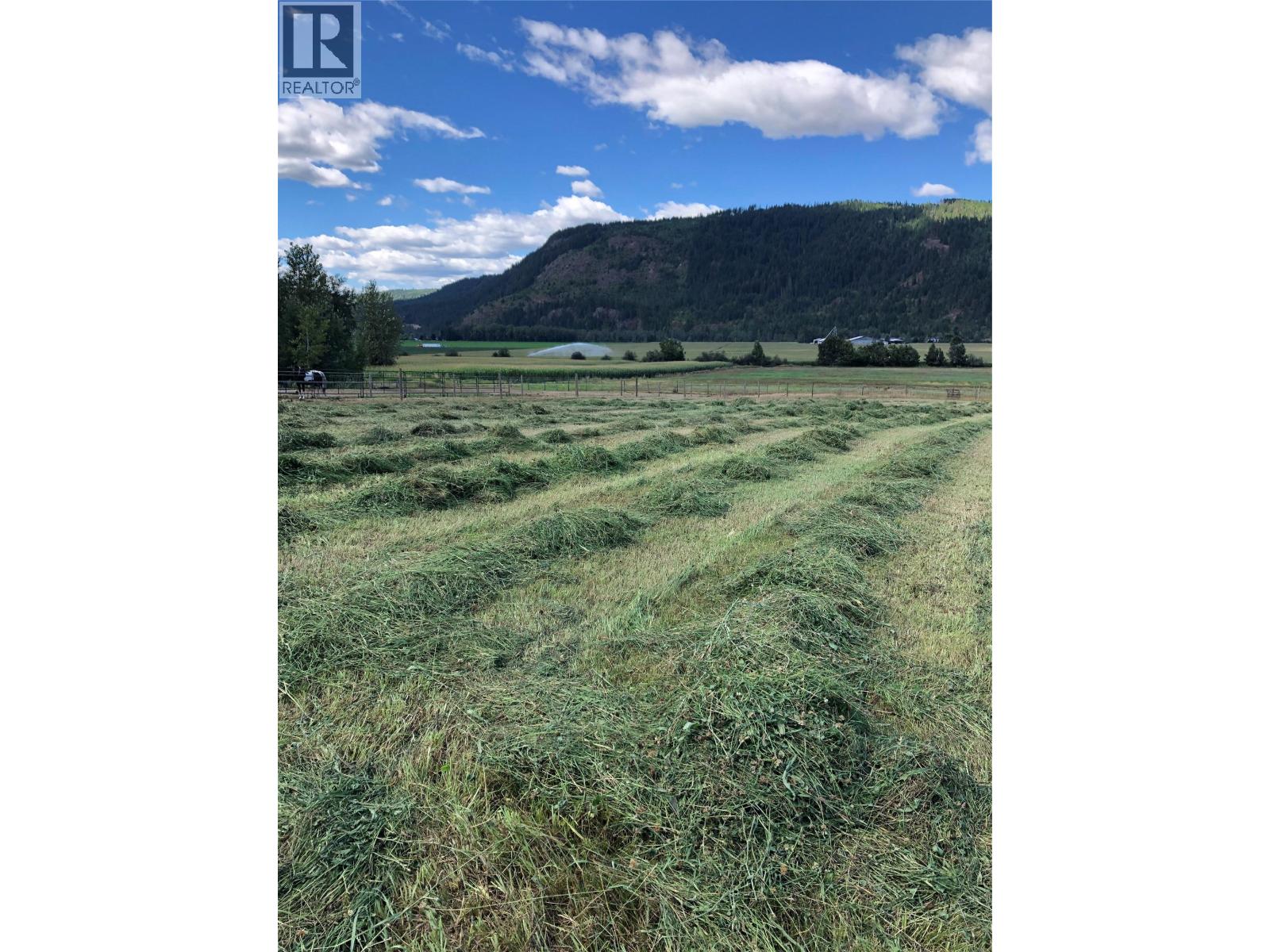 7630 97a Highway, Mara, British Columbia  V0E 2K0 - Photo 38 - 10359924