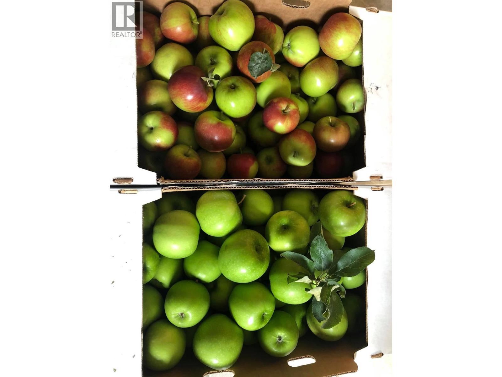 7630 97a Highway, Mara, British Columbia  V0E 2K0 - Photo 41 - 10359924