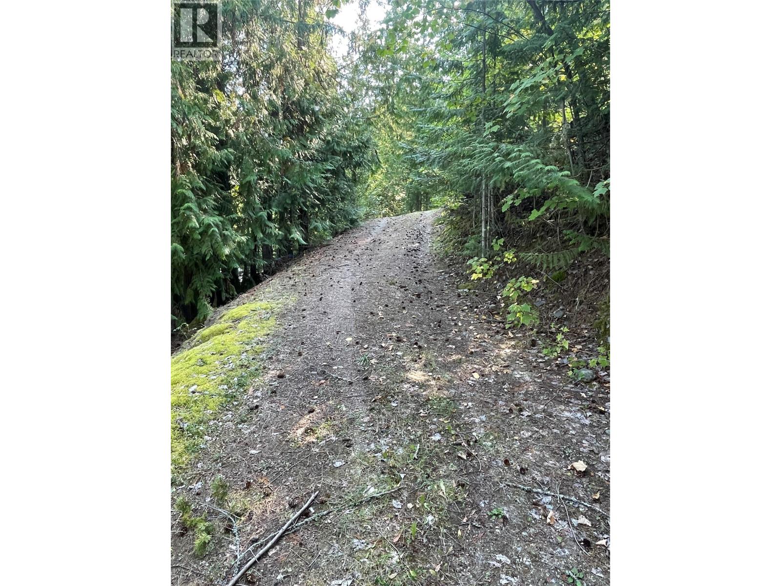 4255 Justin Road, Eagle Bay, British Columbia  V0E 1T0 - Photo 17 - 10359993