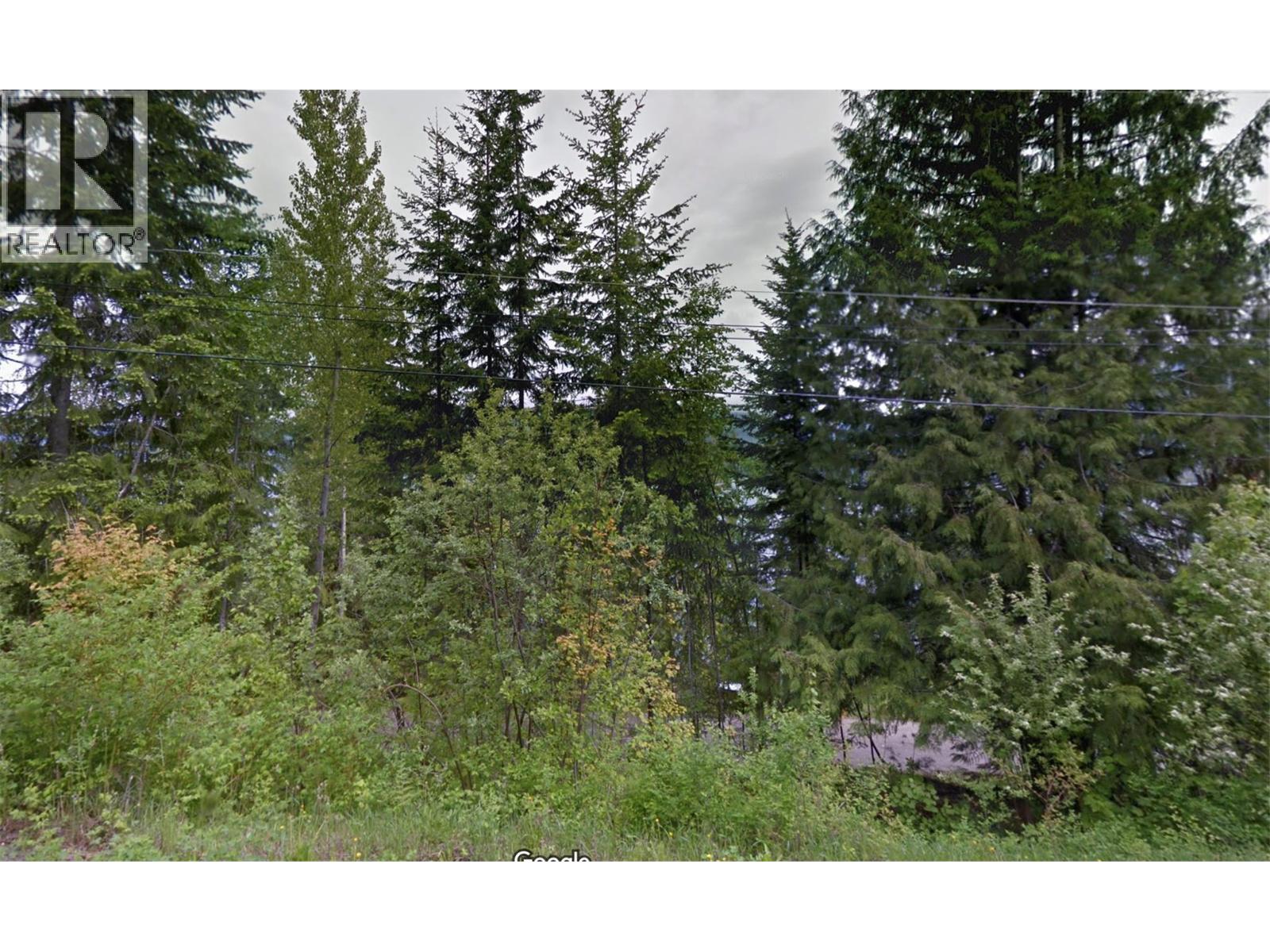 4255 Justin Road, Eagle Bay, British Columbia  V0E 1T0 - Photo 3 - 10359993