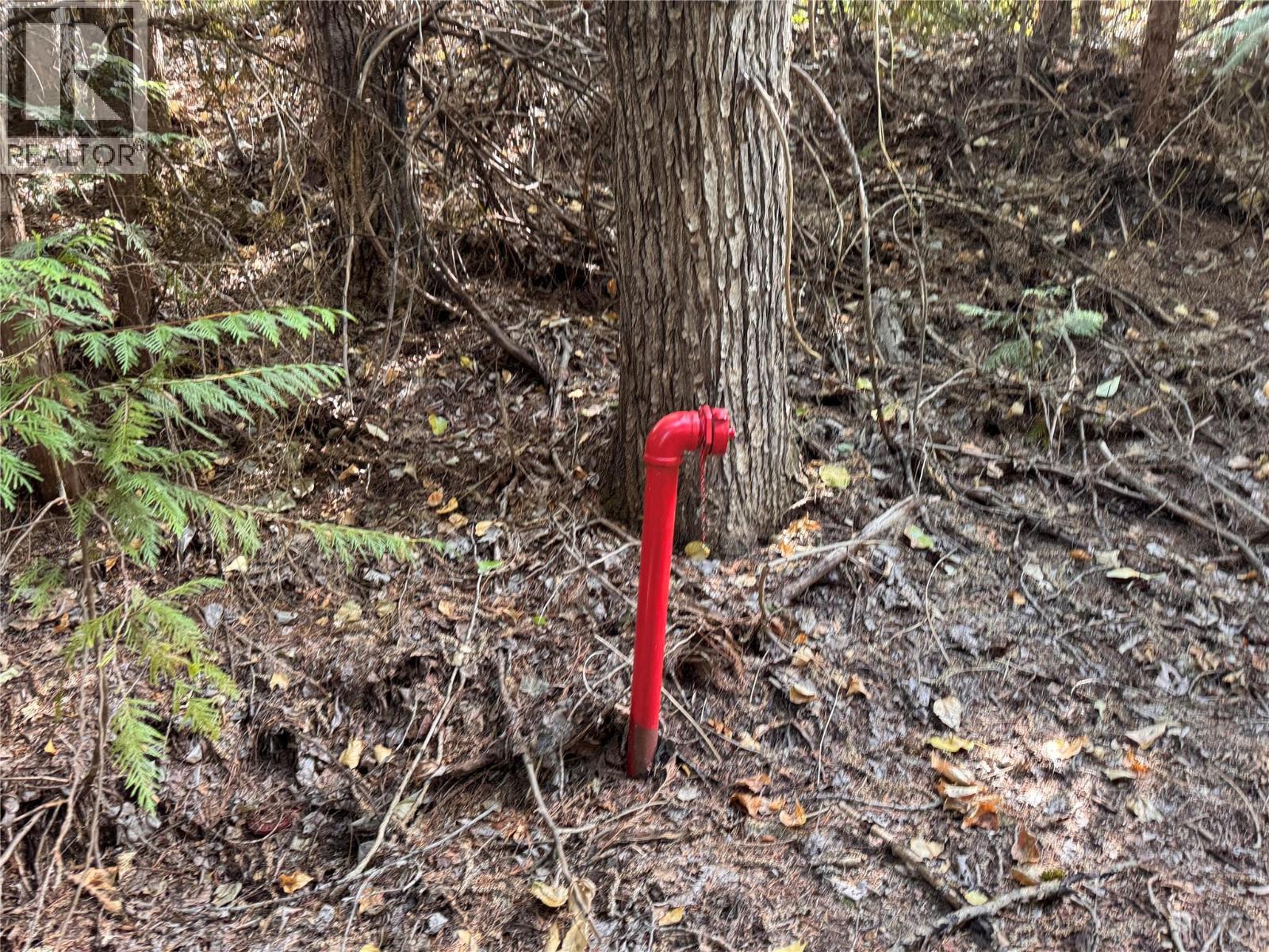 Lot 1 Chase Road, Christina Lake, British Columbia  V0H 1E0 - Photo 3 - 10360034