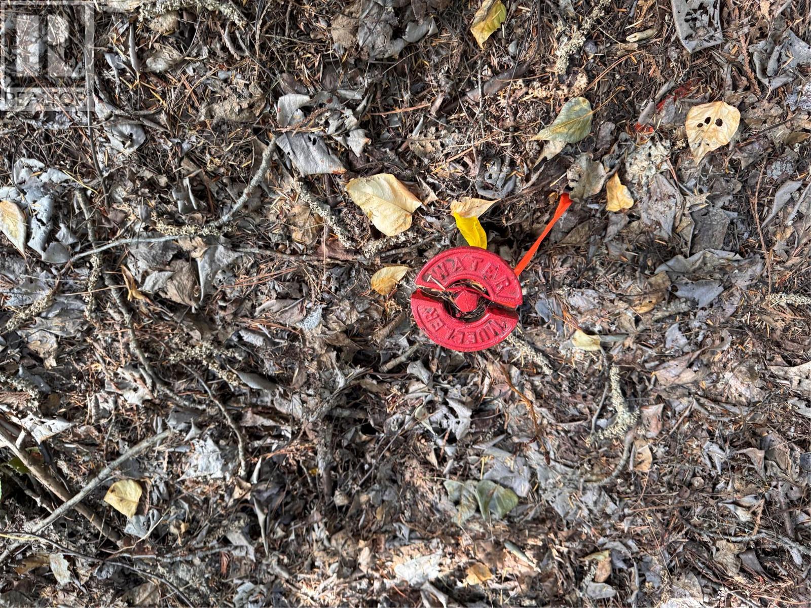 Lot 1 Chase Road, Christina Lake, British Columbia  V0H 1E0 - Photo 4 - 10360034