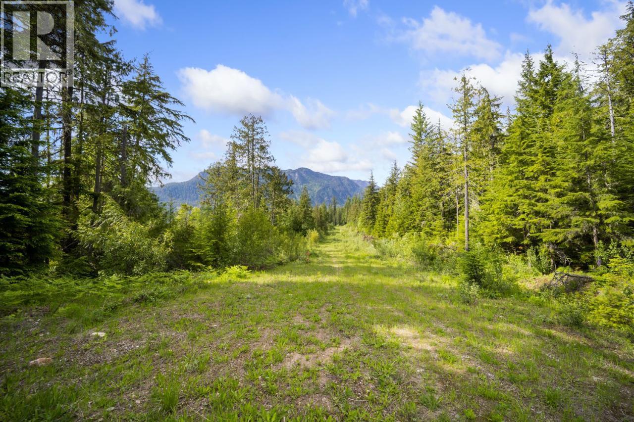 Lot 48 Crawford Creek Road, Crawford Bay, British Columbia  V0B 1E0 - Photo 1 - 10359939