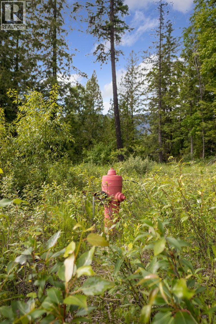 Lot 48 Crawford Creek Road, Crawford Bay, British Columbia  V0B 1E0 - Photo 11 - 10359939