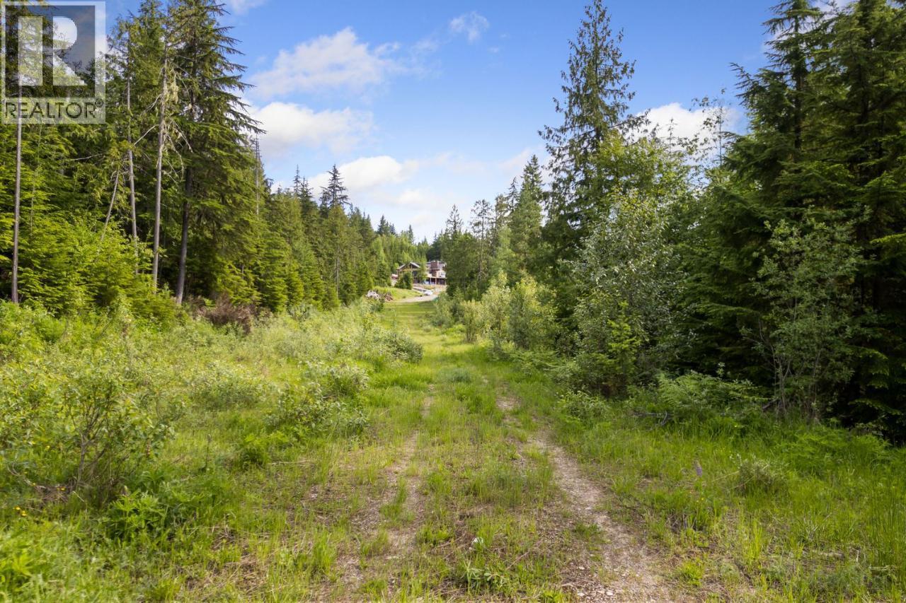 Lot 48 Crawford Creek Road, Crawford Bay, British Columbia  V0B 1E0 - Photo 13 - 10359939