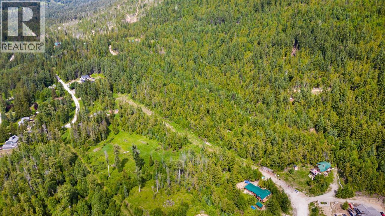 Lot 48 Crawford Creek Road, Crawford Bay, British Columbia  V0B 1E0 - Photo 17 - 10359939