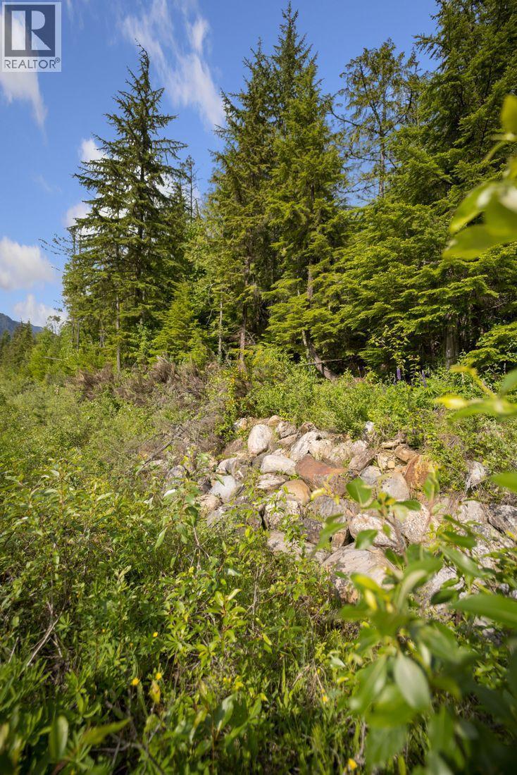 Lot 48 Crawford Creek Road, Crawford Bay, British Columbia  V0B 1E0 - Photo 7 - 10359939