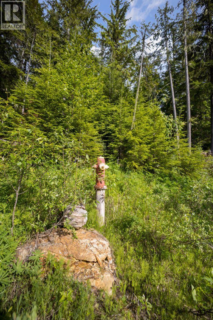 Lot 48 Crawford Creek Road, Crawford Bay, British Columbia  V0B 1E0 - Photo 8 - 10359939