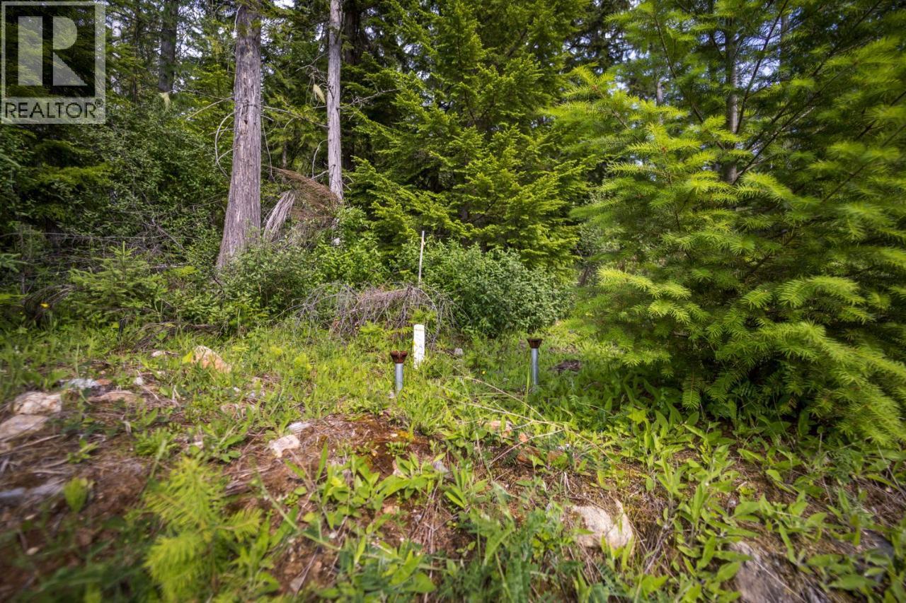 Lot 48 Crawford Creek Road, Crawford Bay, British Columbia  V0B 1E0 - Photo 9 - 10359939