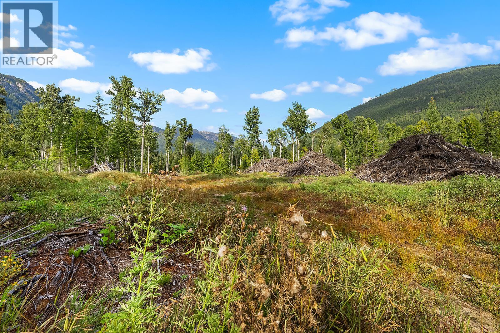 Lot A Wadds Road, Crawford Bay, British Columbia  V0B 1E0 - Photo 1 - 10360049