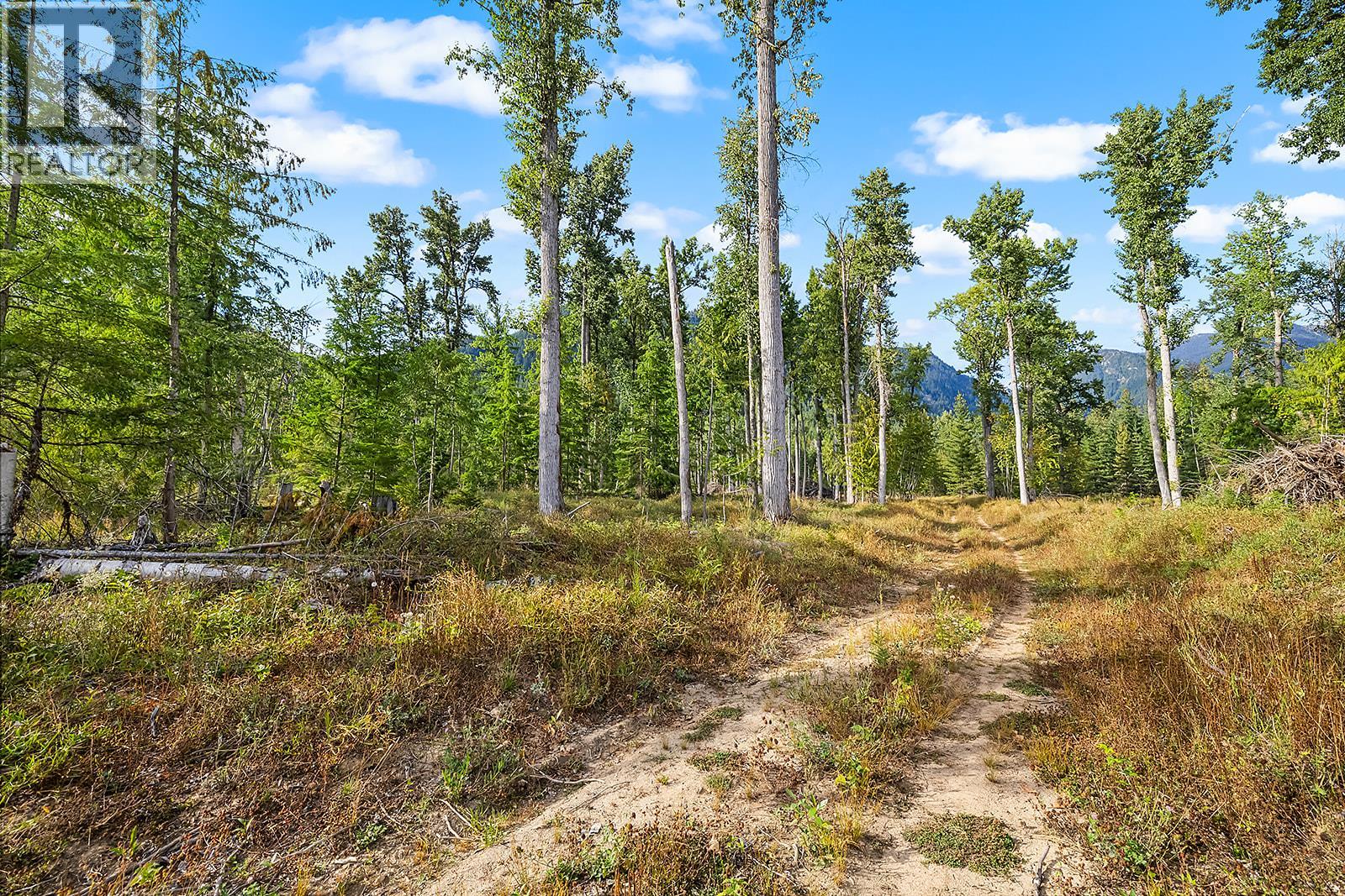 Lot A Wadds Road, Crawford Bay, British Columbia  V0B 1E0 - Photo 10 - 10360049