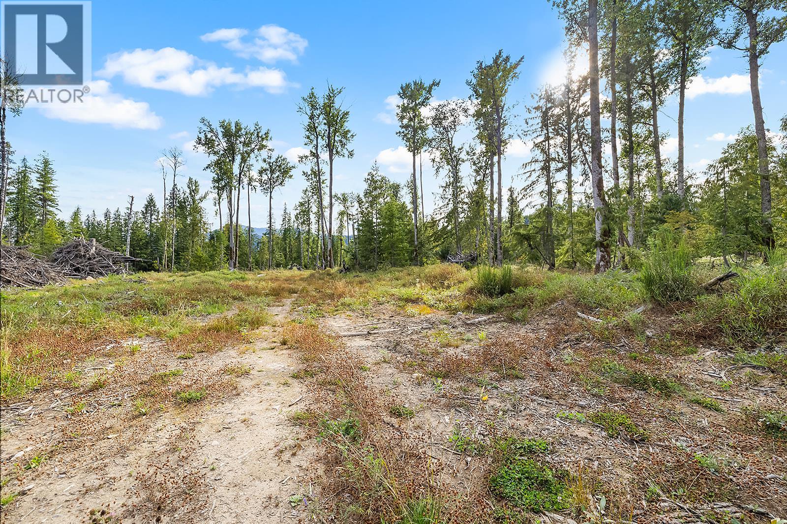 Lot A Wadds Road, Crawford Bay, British Columbia  V0B 1E0 - Photo 11 - 10360049