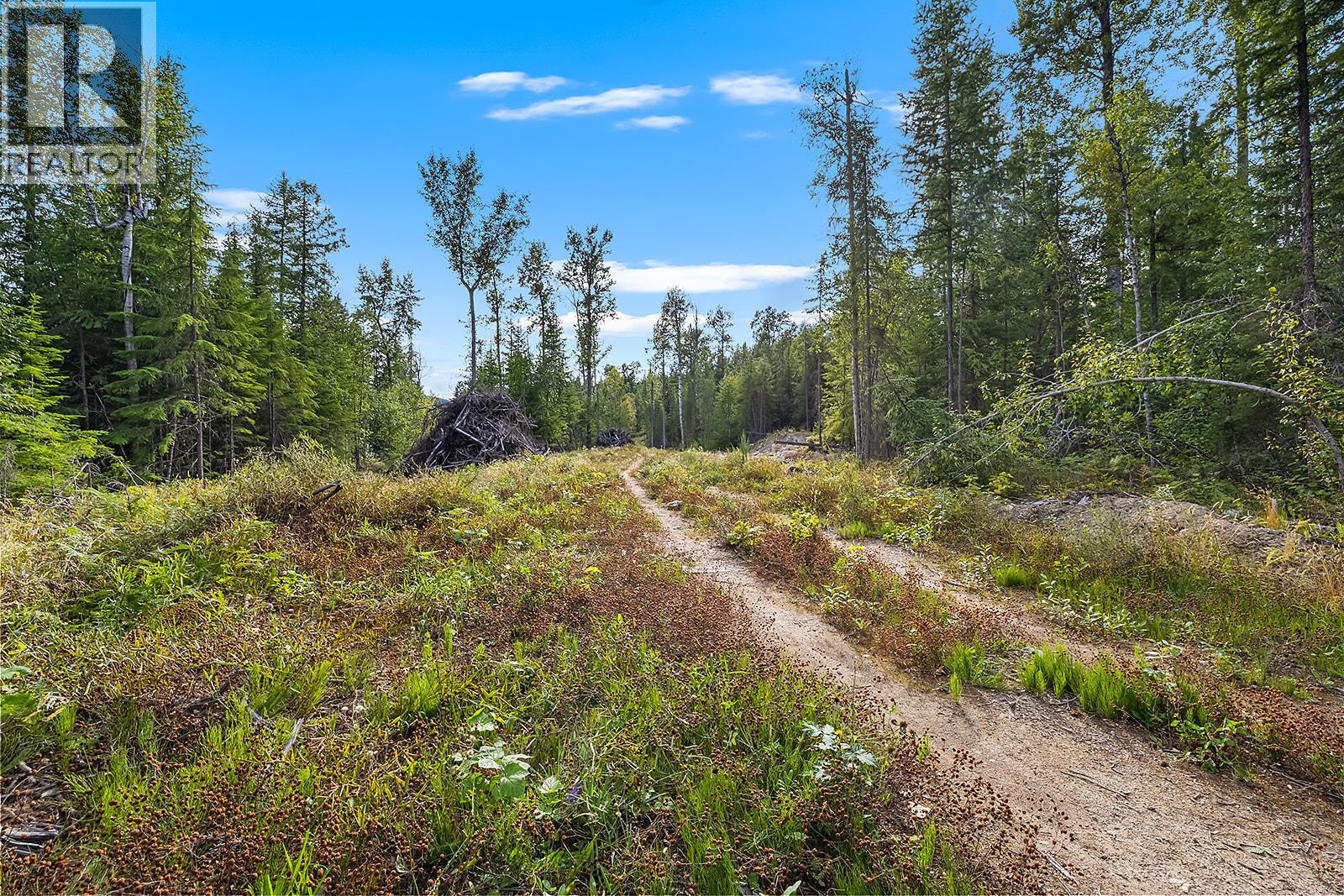 Lot A Wadds Road, Crawford Bay, British Columbia  V0B 1E0 - Photo 12 - 10360049