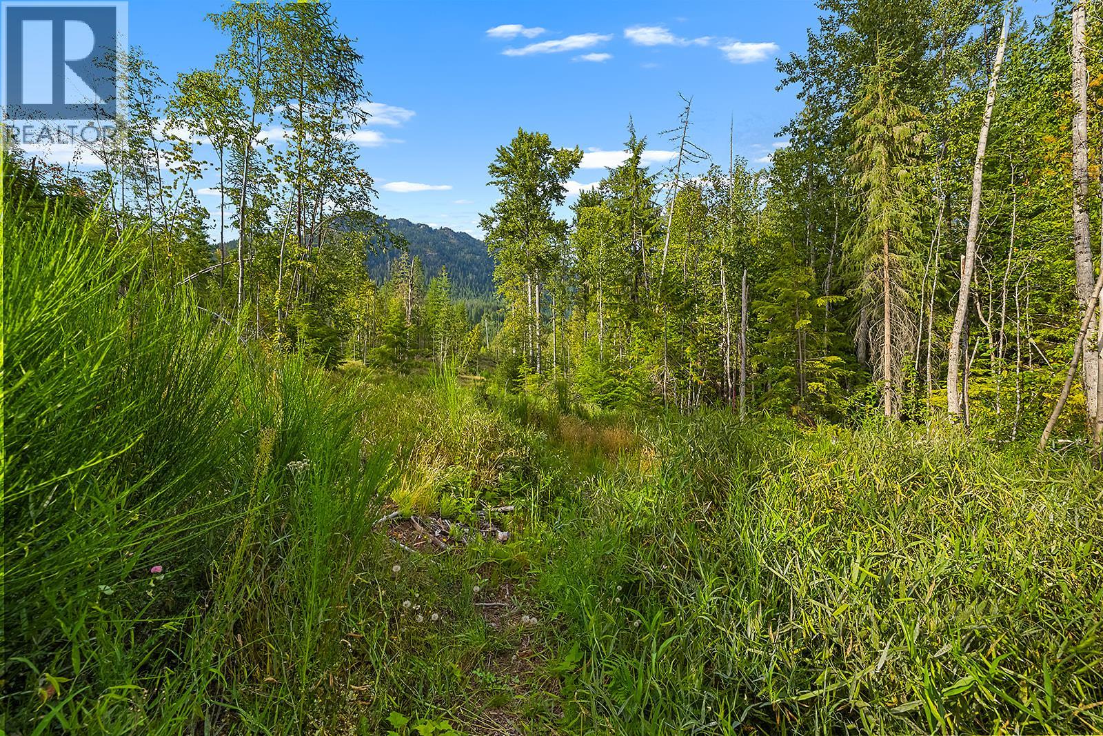 Lot A Wadds Road, Crawford Bay, British Columbia  V0B 1E0 - Photo 15 - 10360049