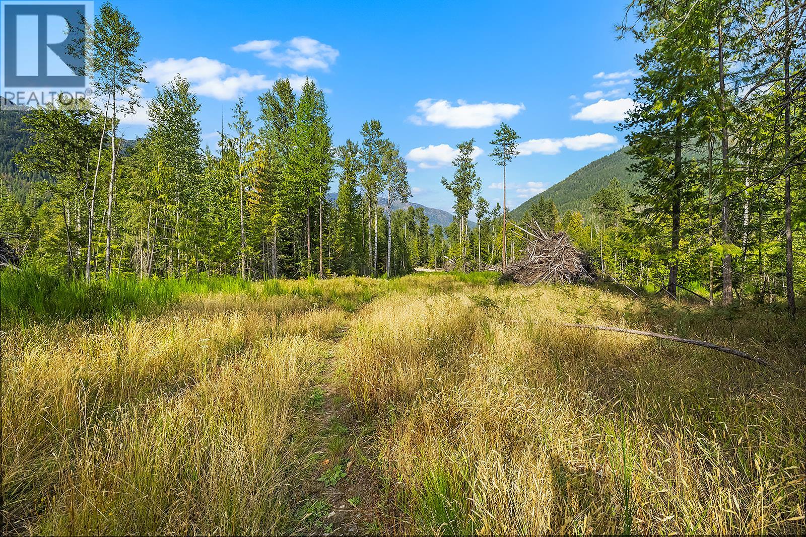 Lot A Wadds Road, Crawford Bay, British Columbia  V0B 1E0 - Photo 2 - 10360049