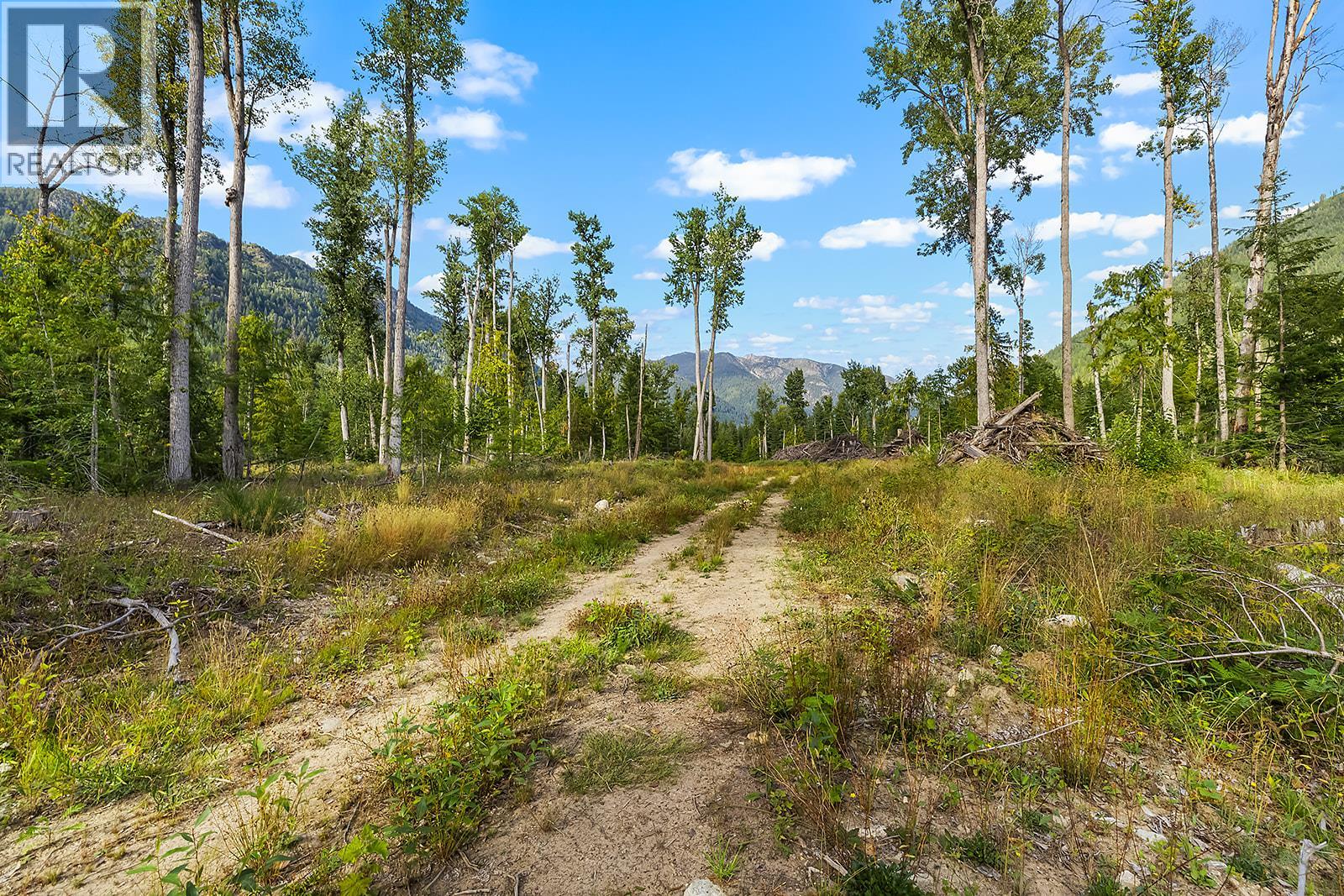 Lot A Wadds Road, Crawford Bay, British Columbia  V0B 1E0 - Photo 3 - 10360049