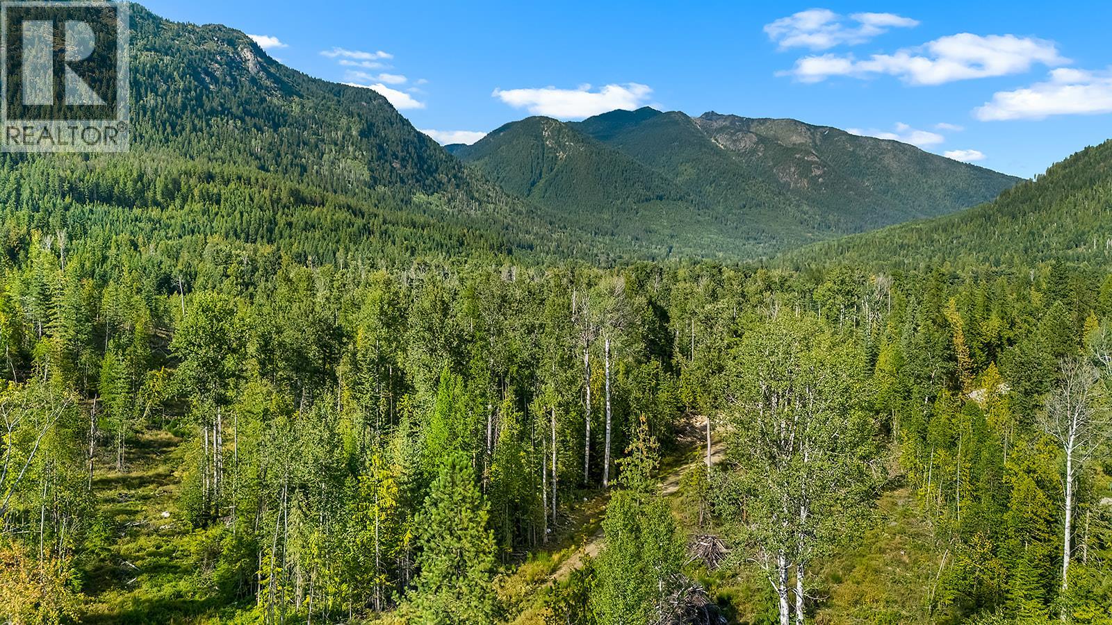 Lot A Wadds Road, Crawford Bay, British Columbia  V0B 1E0 - Photo 39 - 10360049