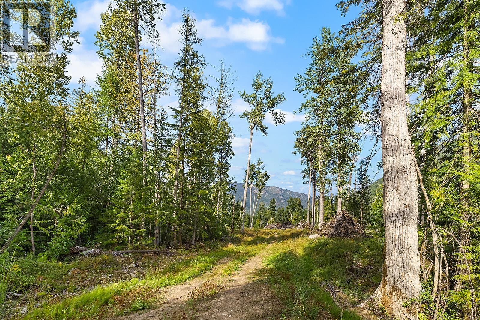 Lot A Wadds Road, Crawford Bay, British Columbia  V0B 1E0 - Photo 4 - 10360049